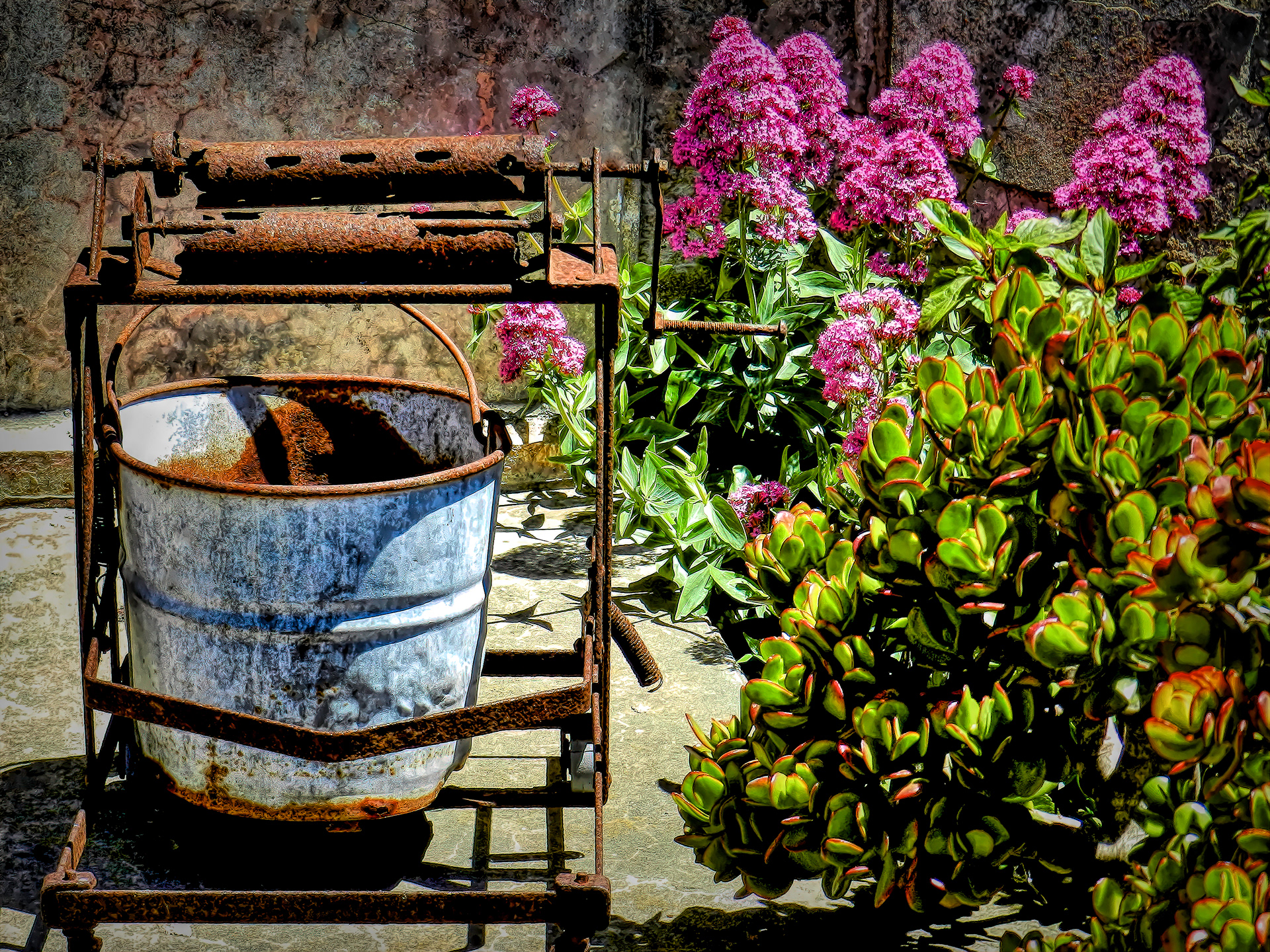 OB1605_2882AG  ~  Bright Spot in a Hard Day