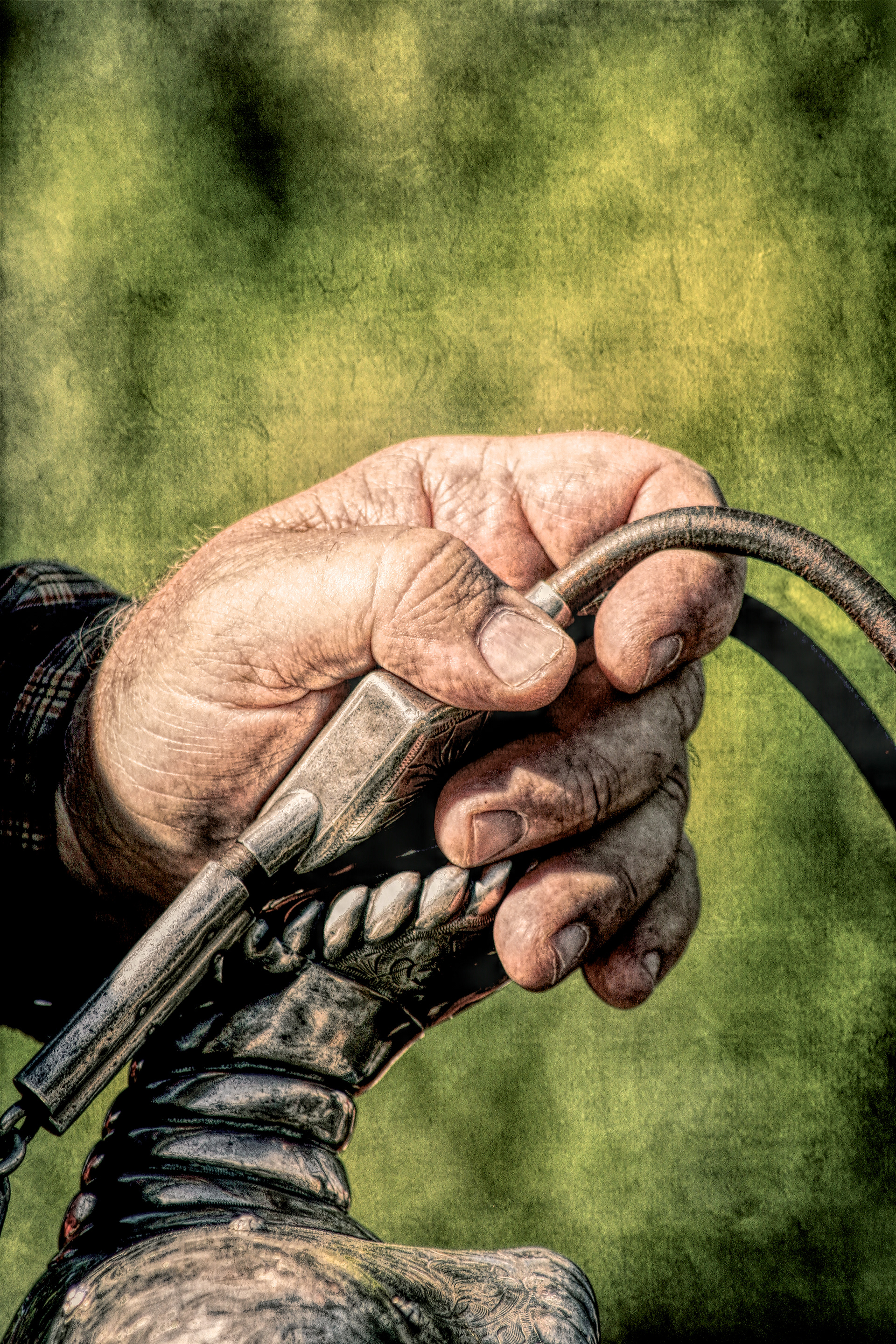 EQ1509_1010AB  ~  Holding The Reins