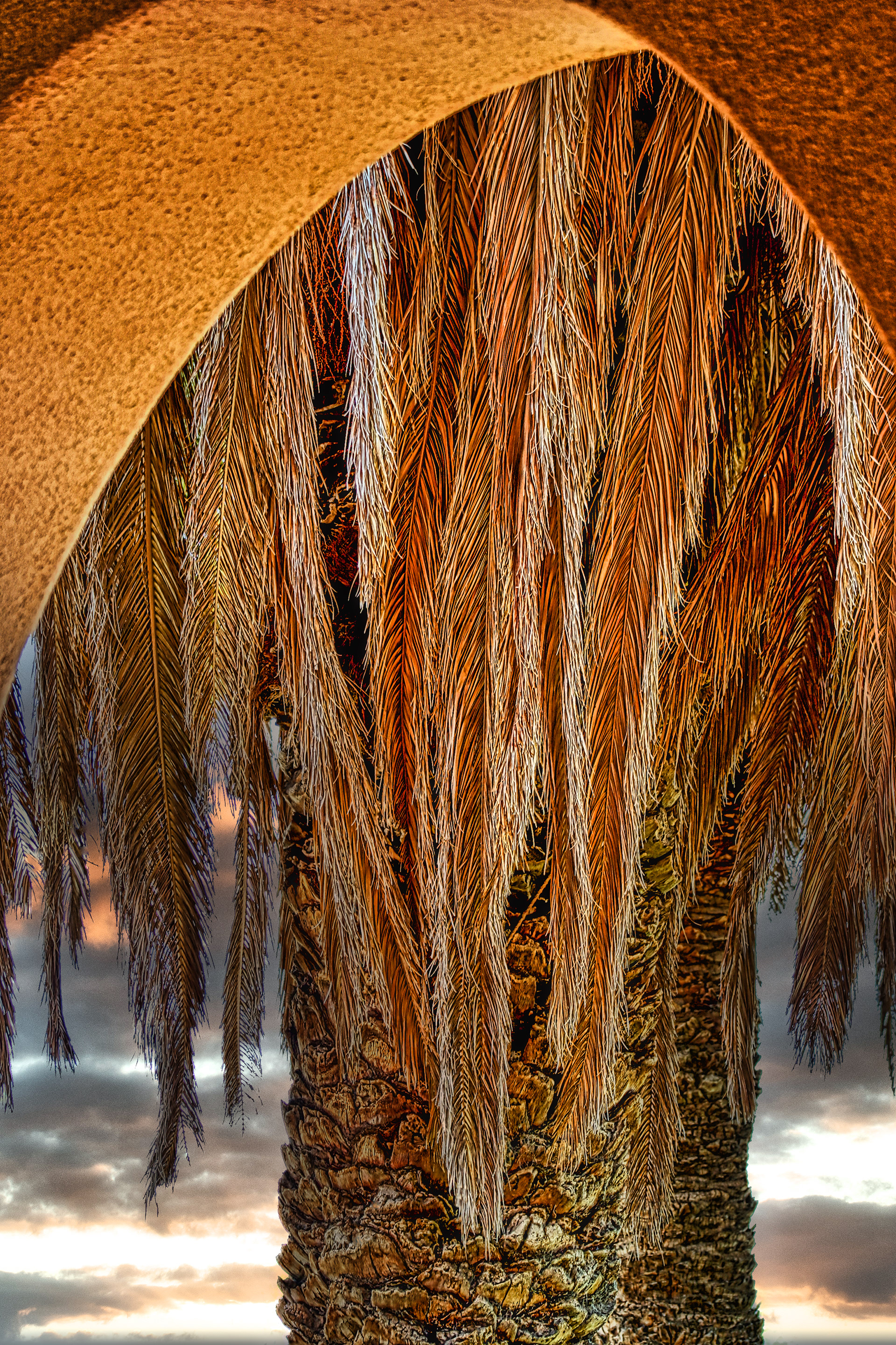 PL1207_9103AD  ~  Archway & Palm