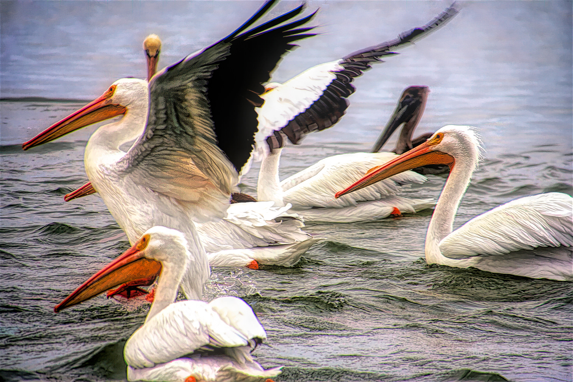 AN1512_4161AE  ~  Taking Flight