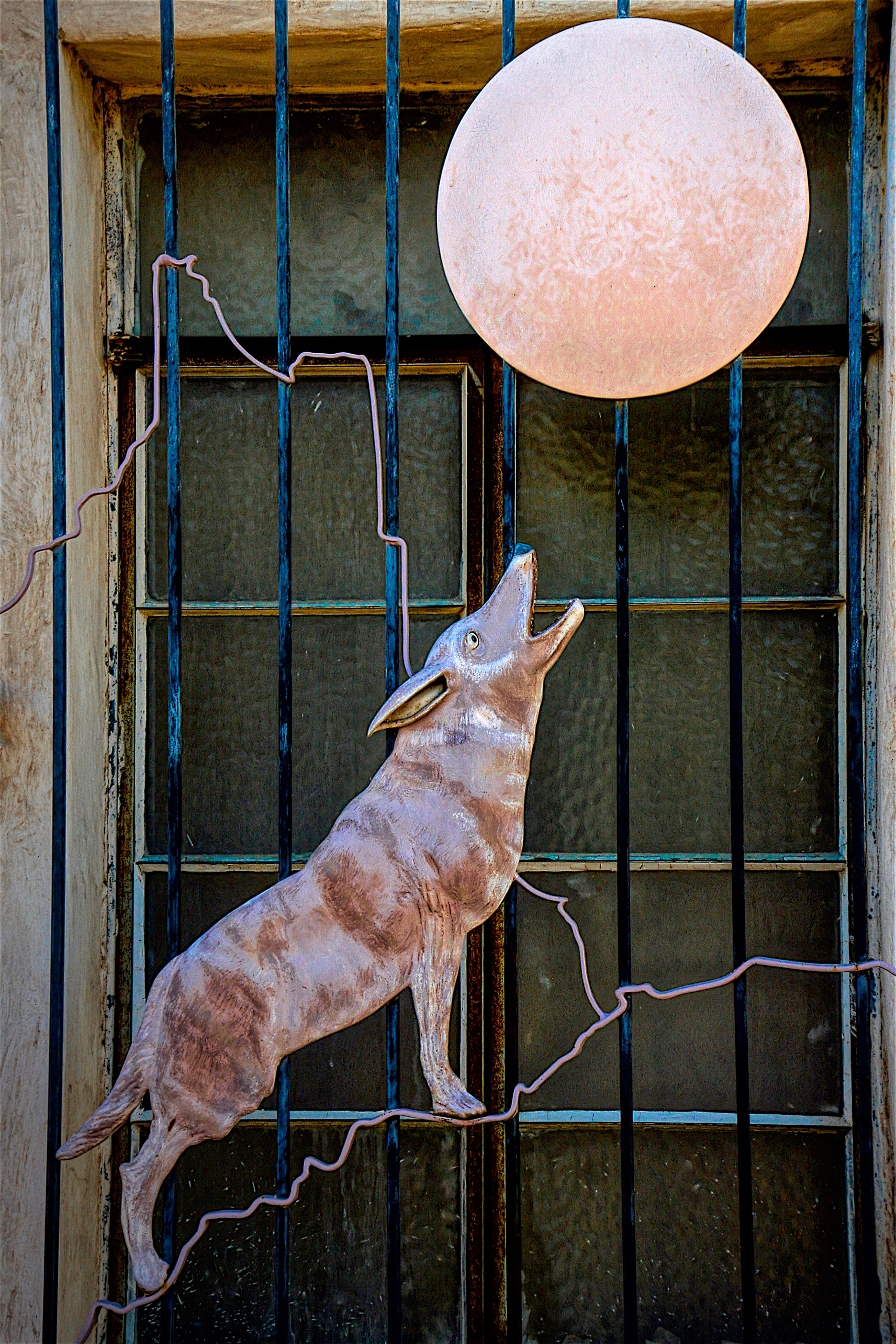 AN1512_2738AE  ~  Howling at the Moon