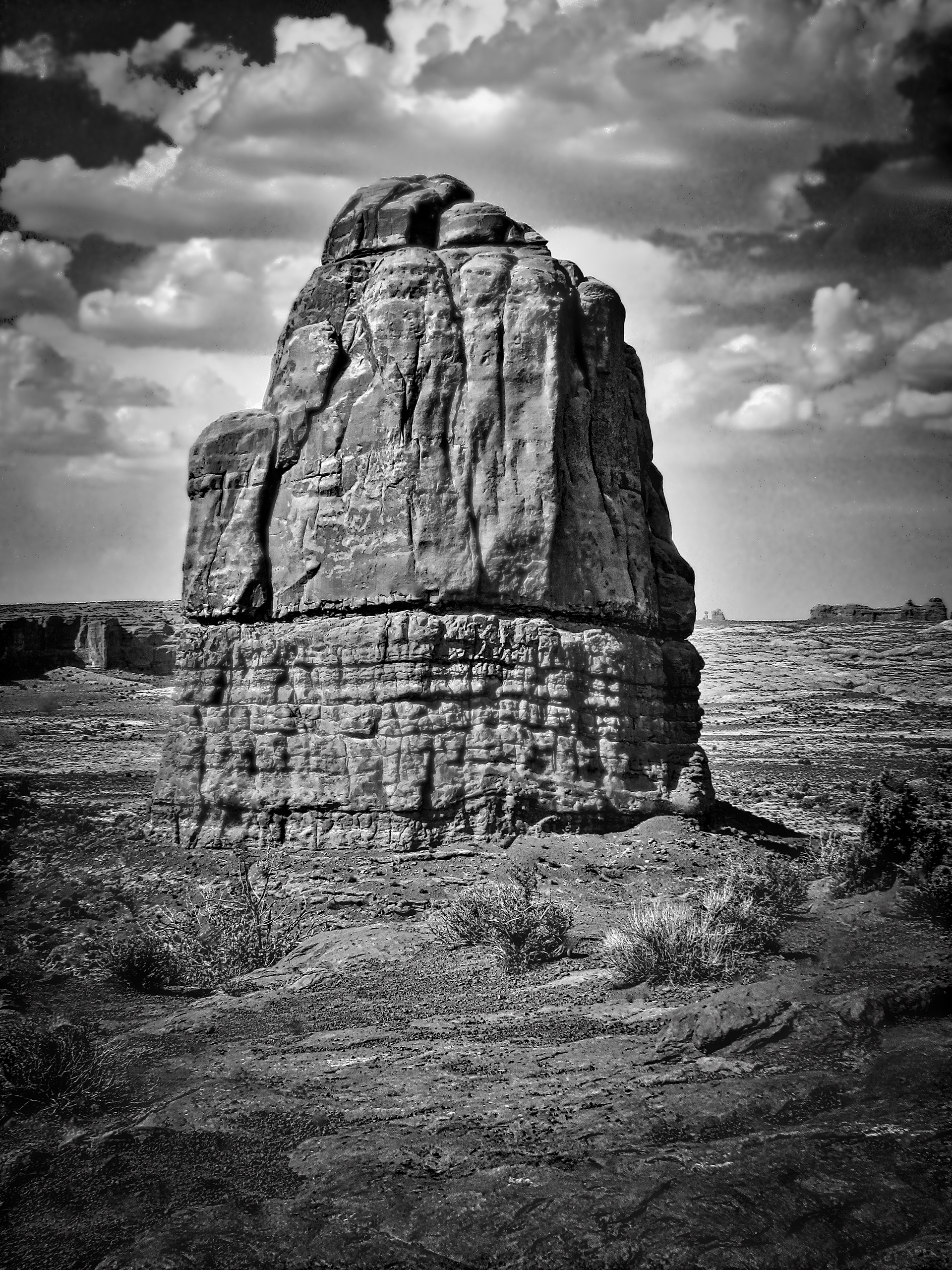 LS0909_1681BB  ~  Standing Guard