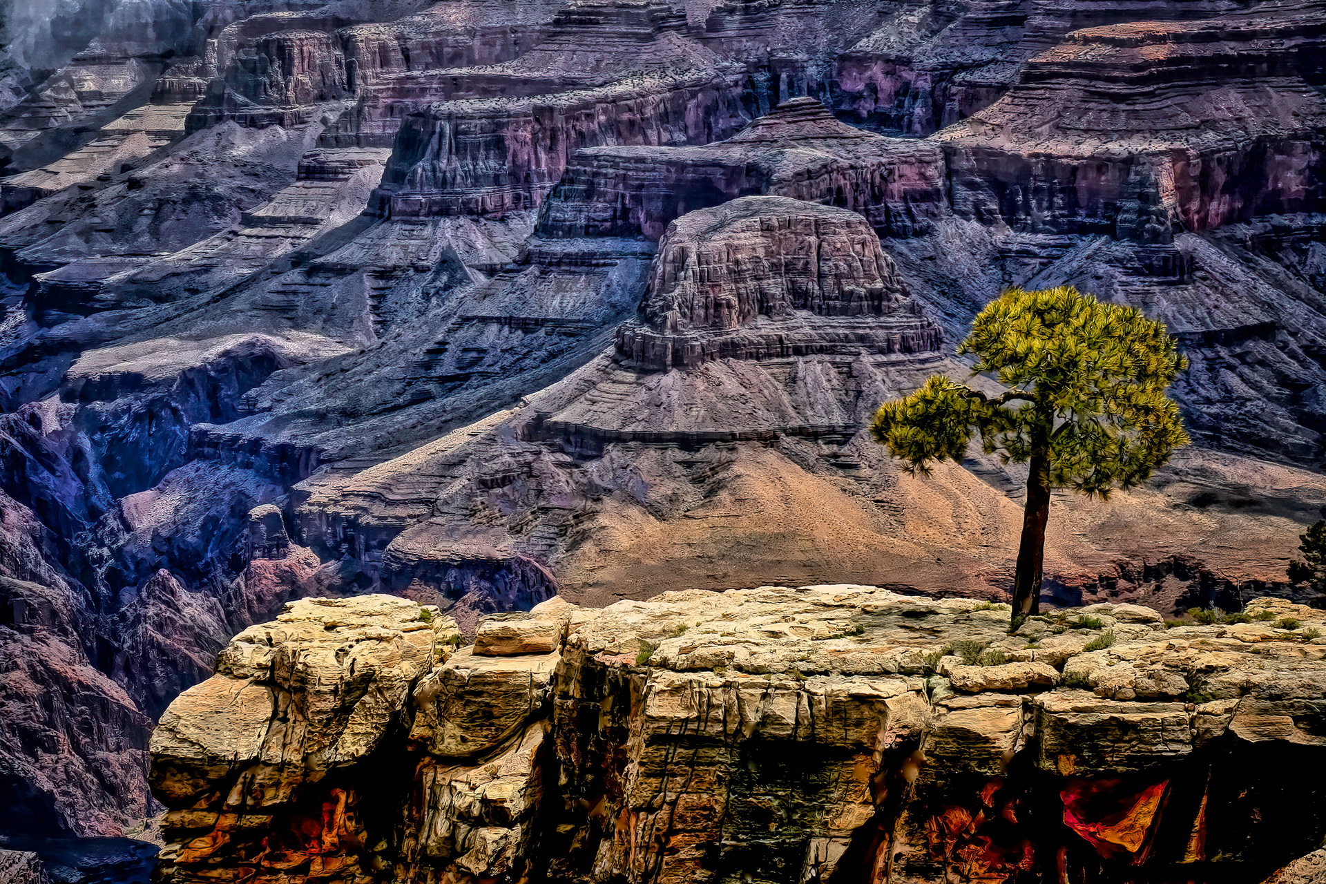 LS1405_6976AJ  ~  The Survivalist