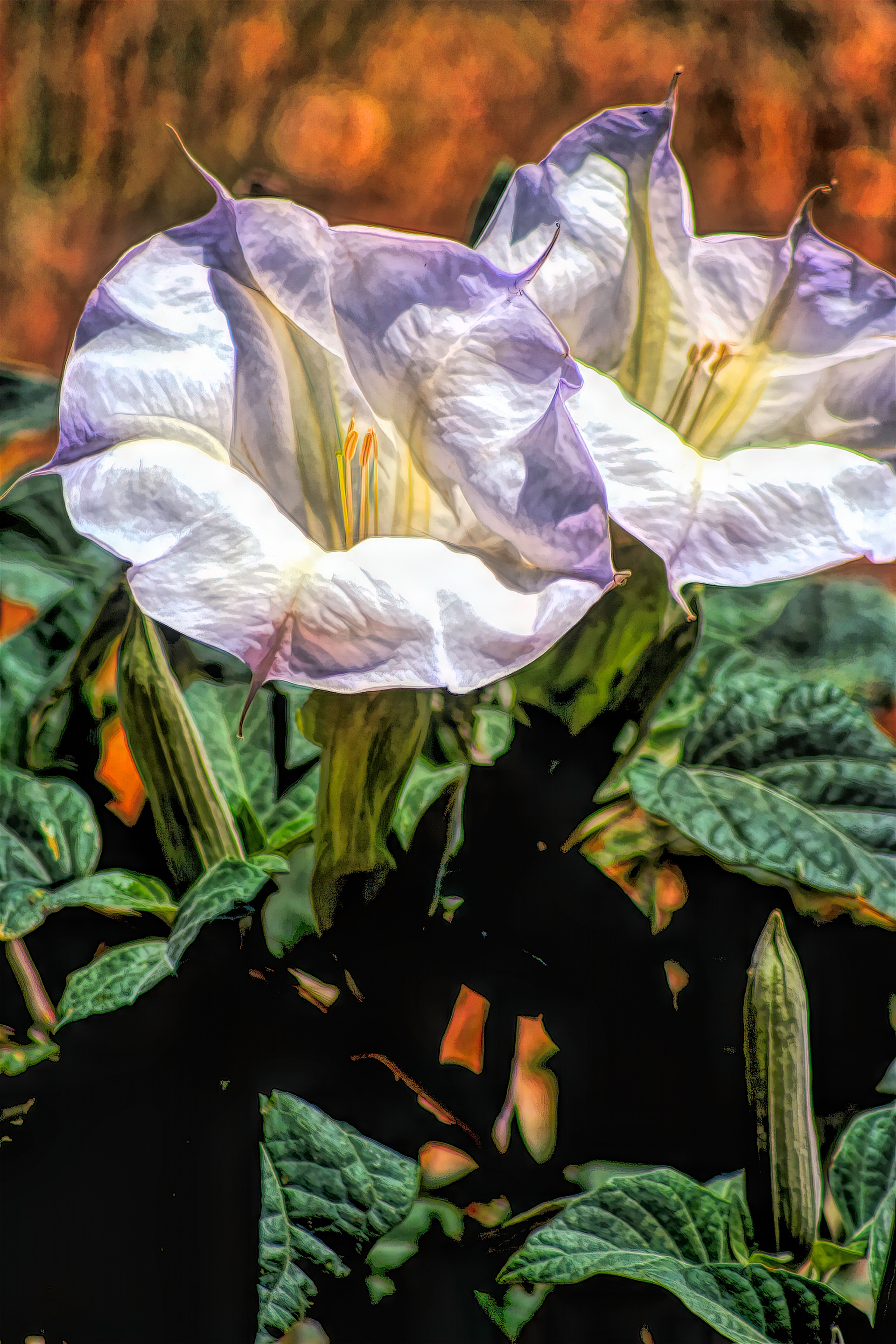 PL1005_5359AP  ~  Deadly Beauty