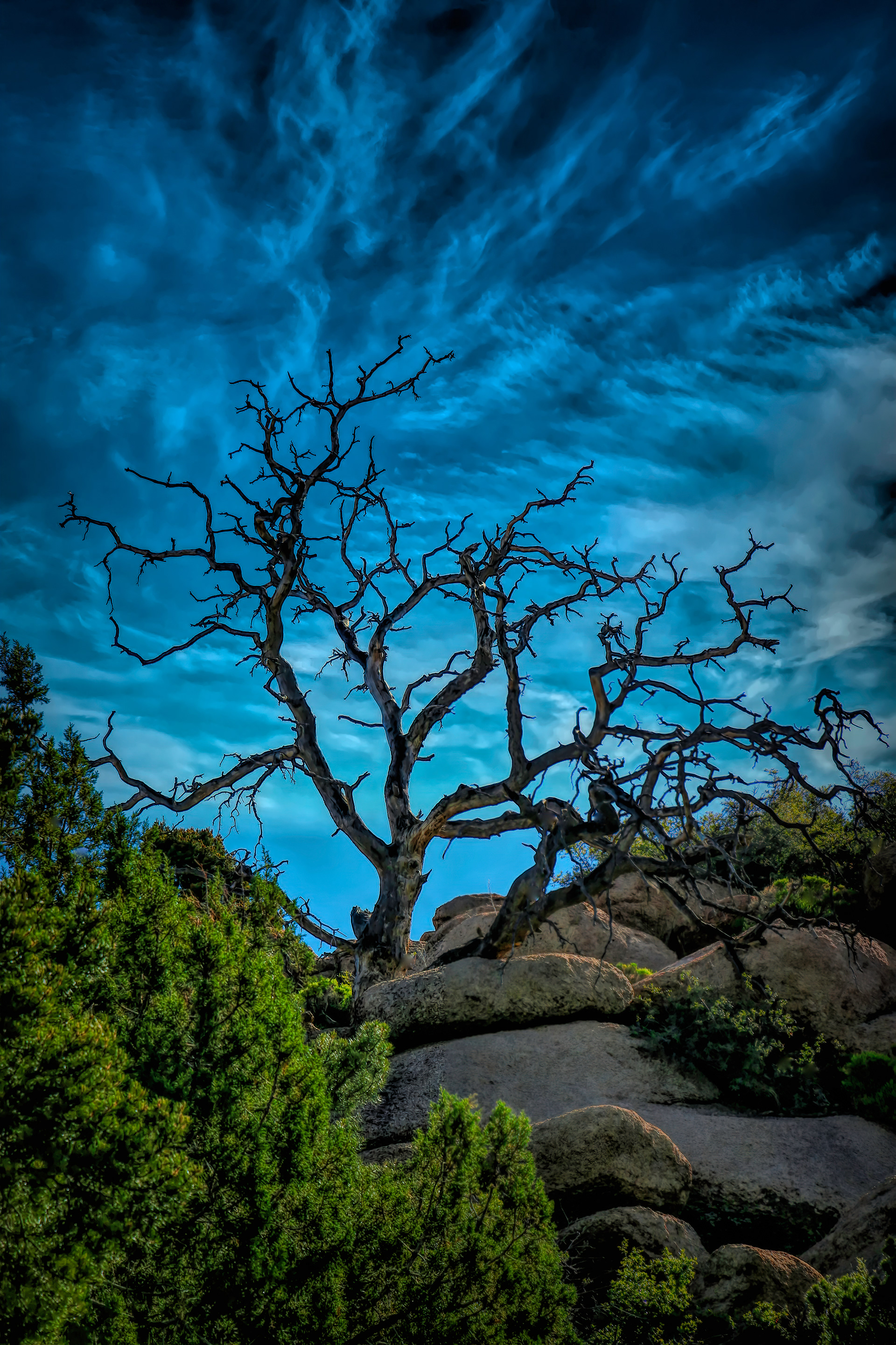 PL1905_0109AC  ~  Hanging On