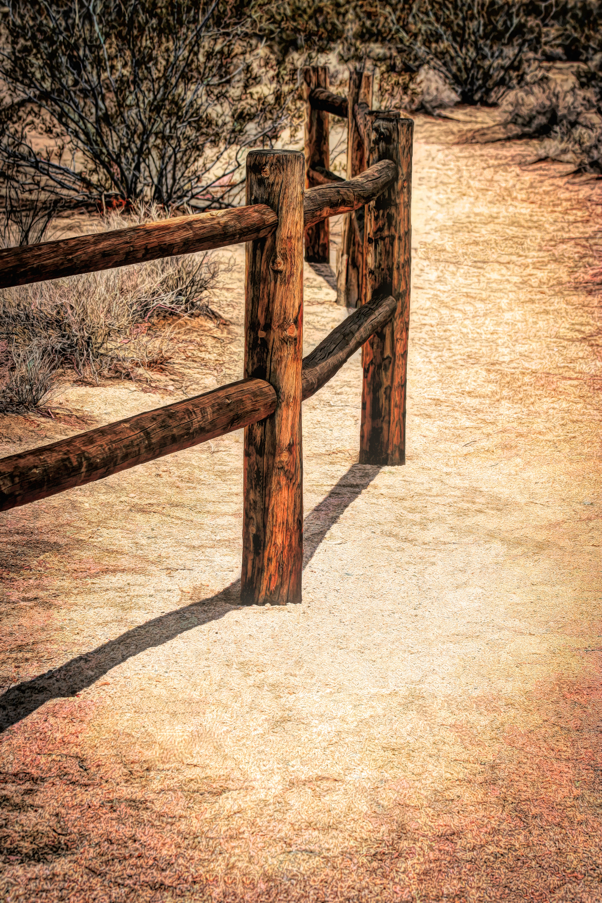 PW1207_9137AJ  ~  Trailhead