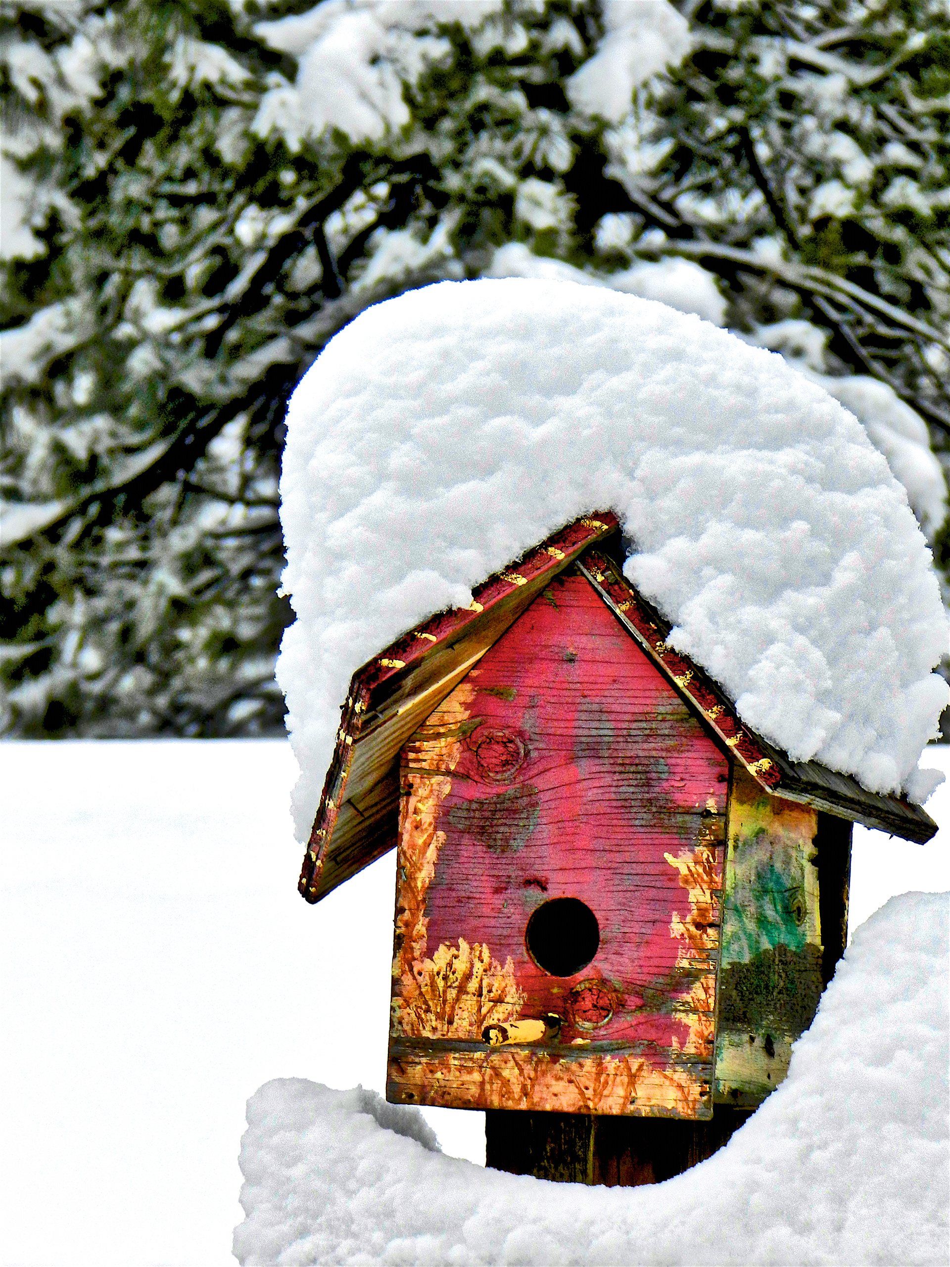 OB1112_1177AJ  ~  Sleeping Through The Storm