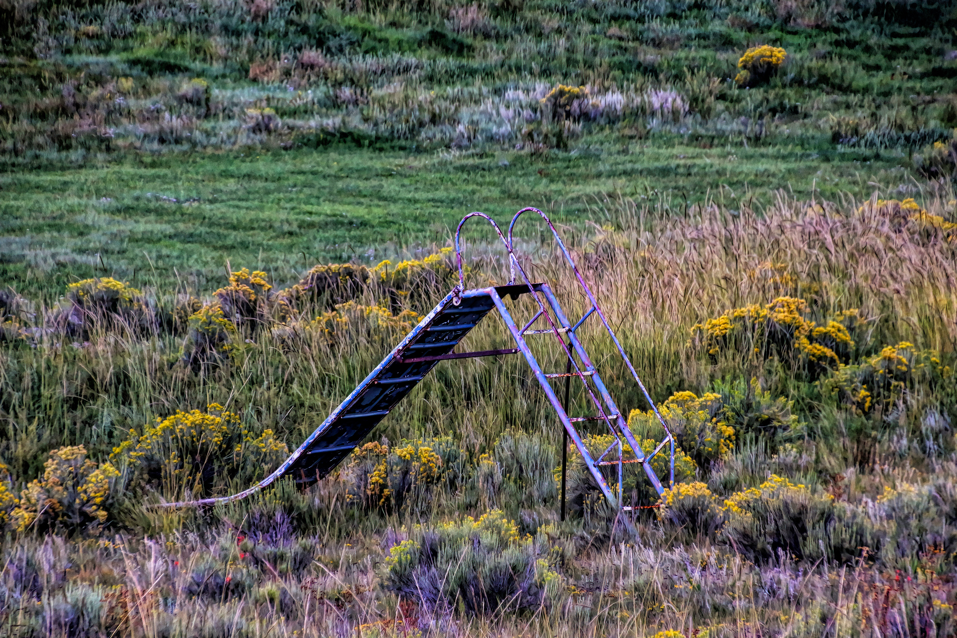 OB1708_1908AM  ~  Lost Childhood