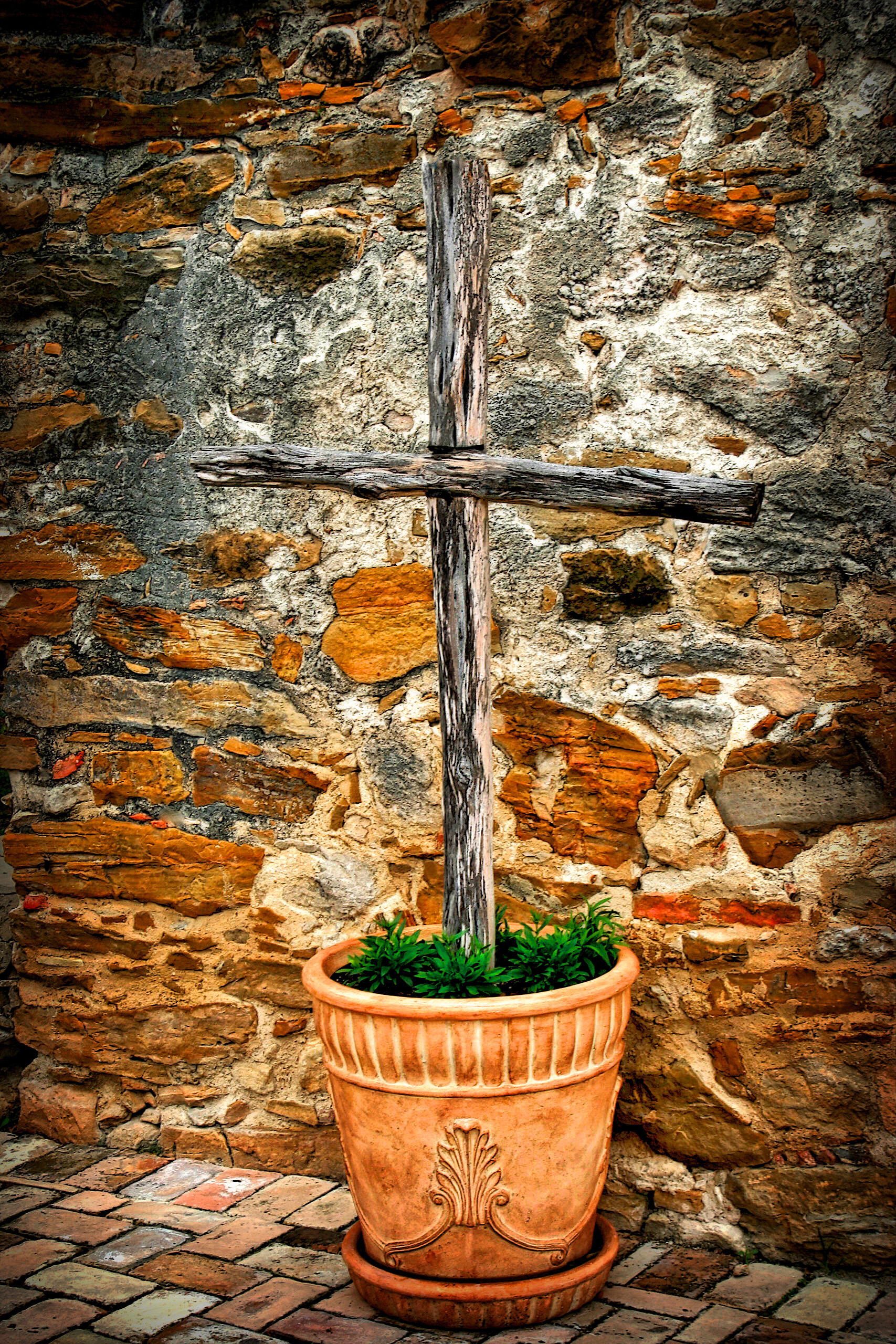 OB1512_3860AG  ~  Potted Cross
