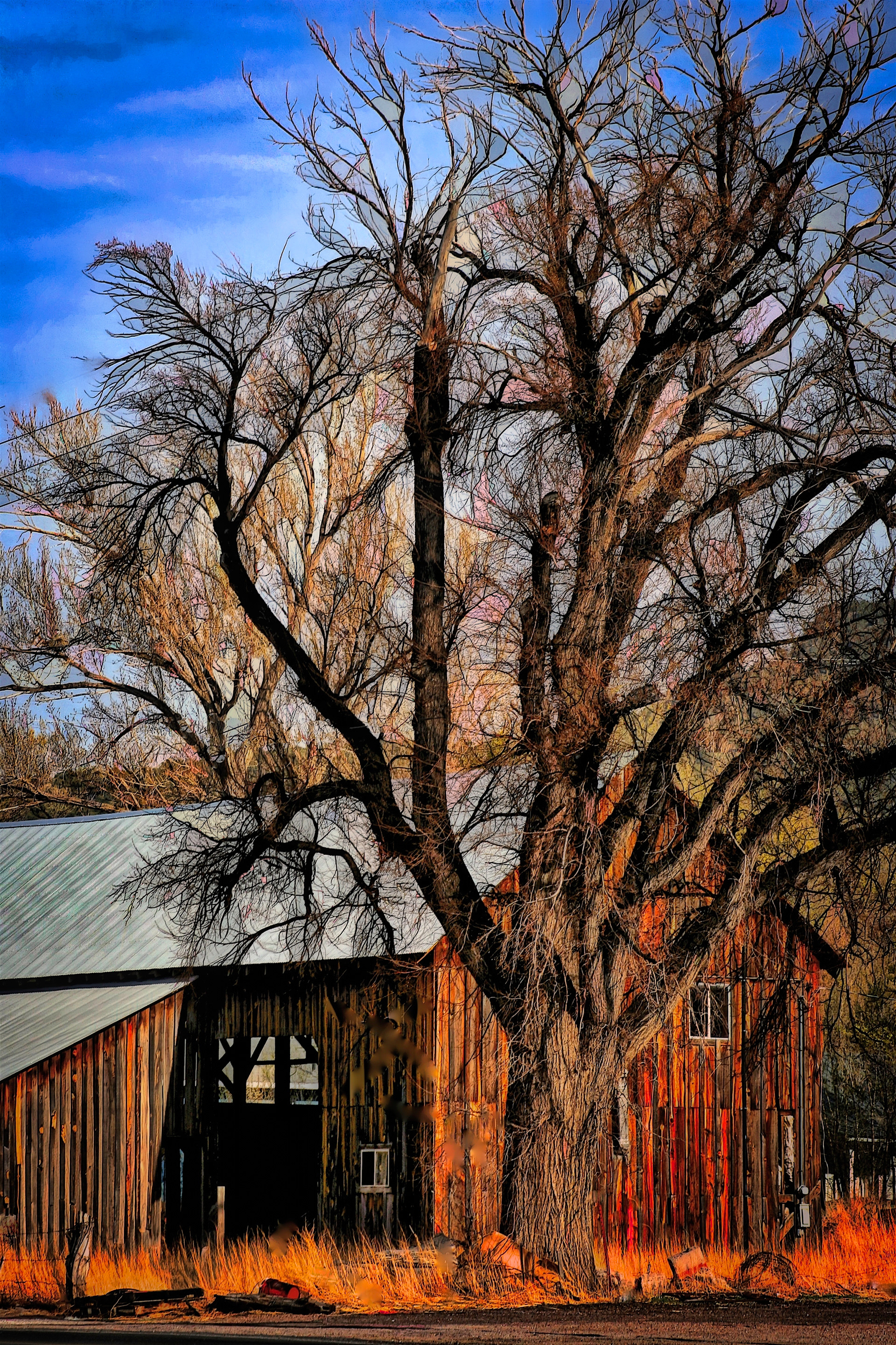 ST1104_7230AD  ~  Old Barn