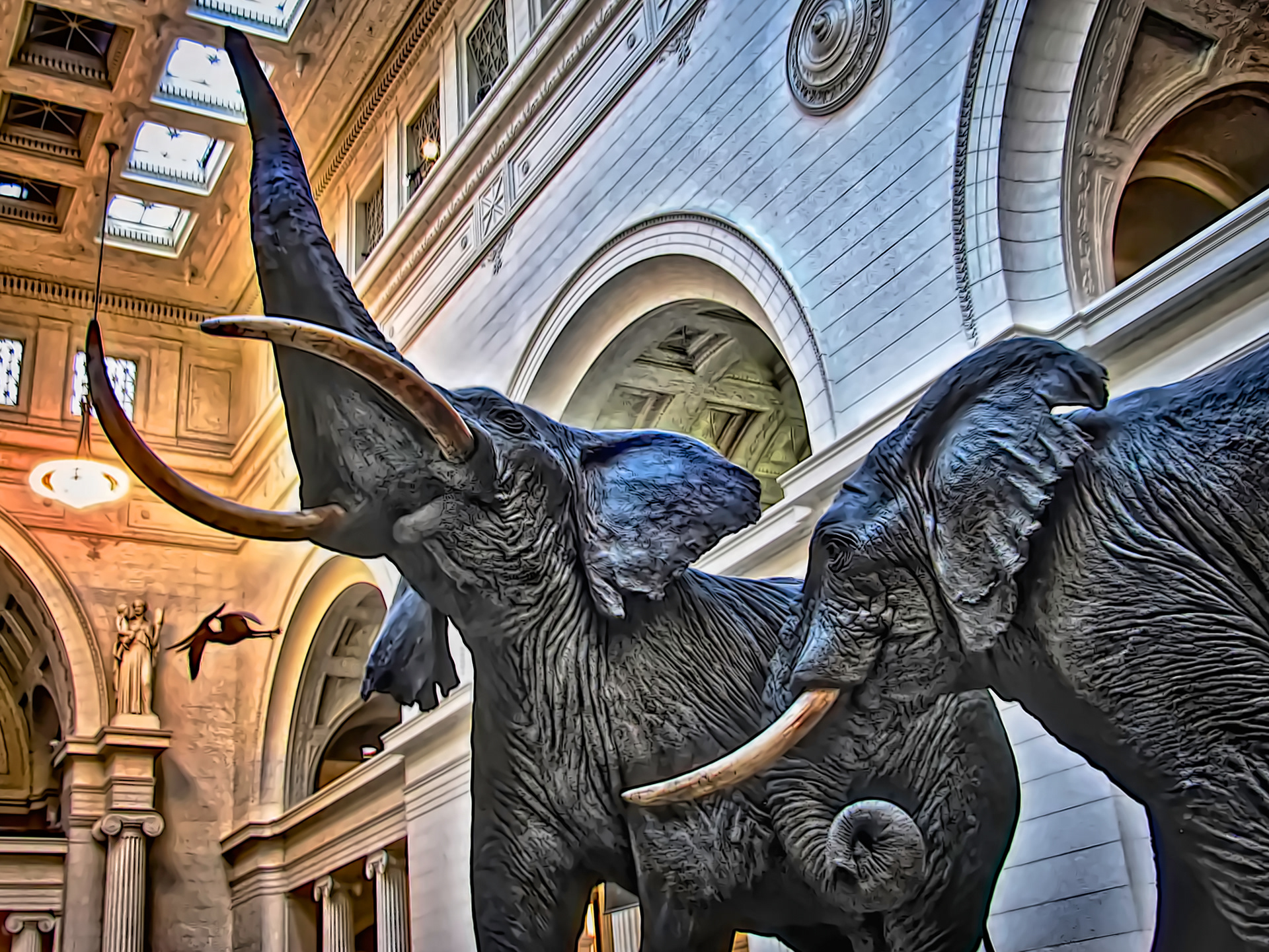 AN1203_6312AF  ~  Perpetual Battle