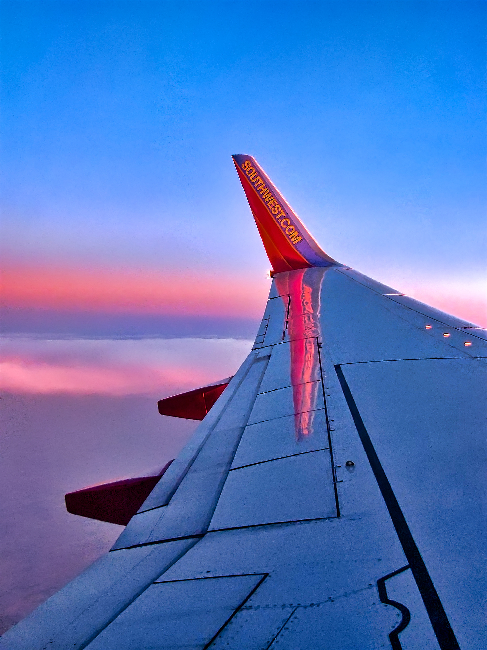 VS1203_6495AC  ~  Flying  High