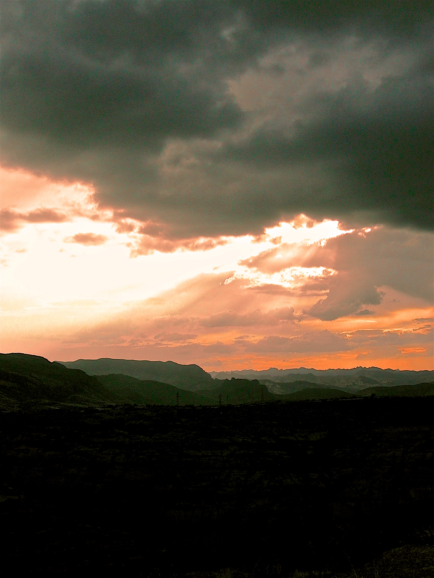 SS0404_3614AC  ~  Desolation