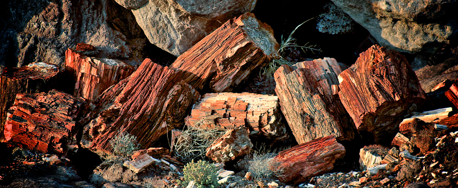 ZZ0909_4561AE  ~  Stone Trees