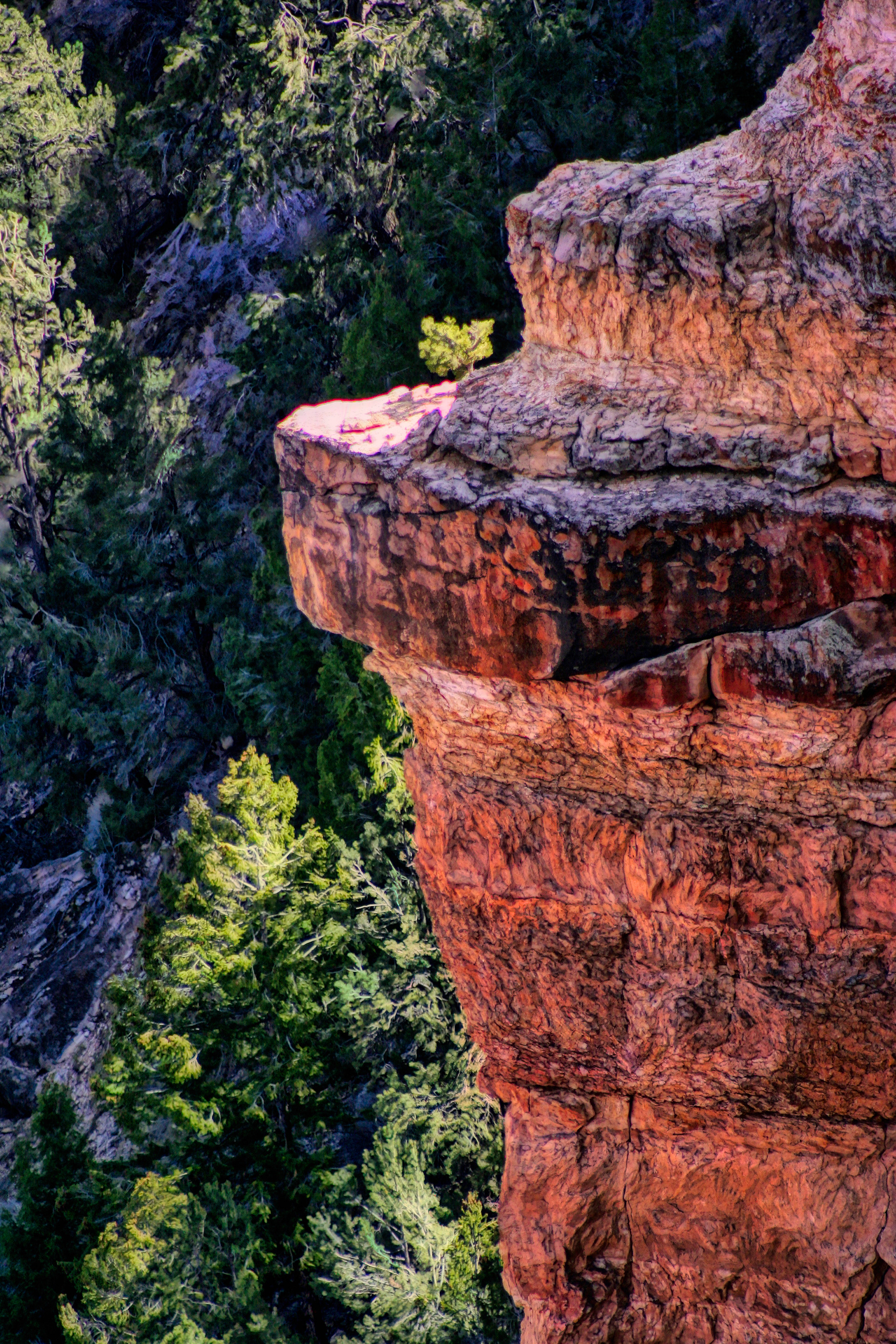 LS1403_5943AE  ~  Hanging On