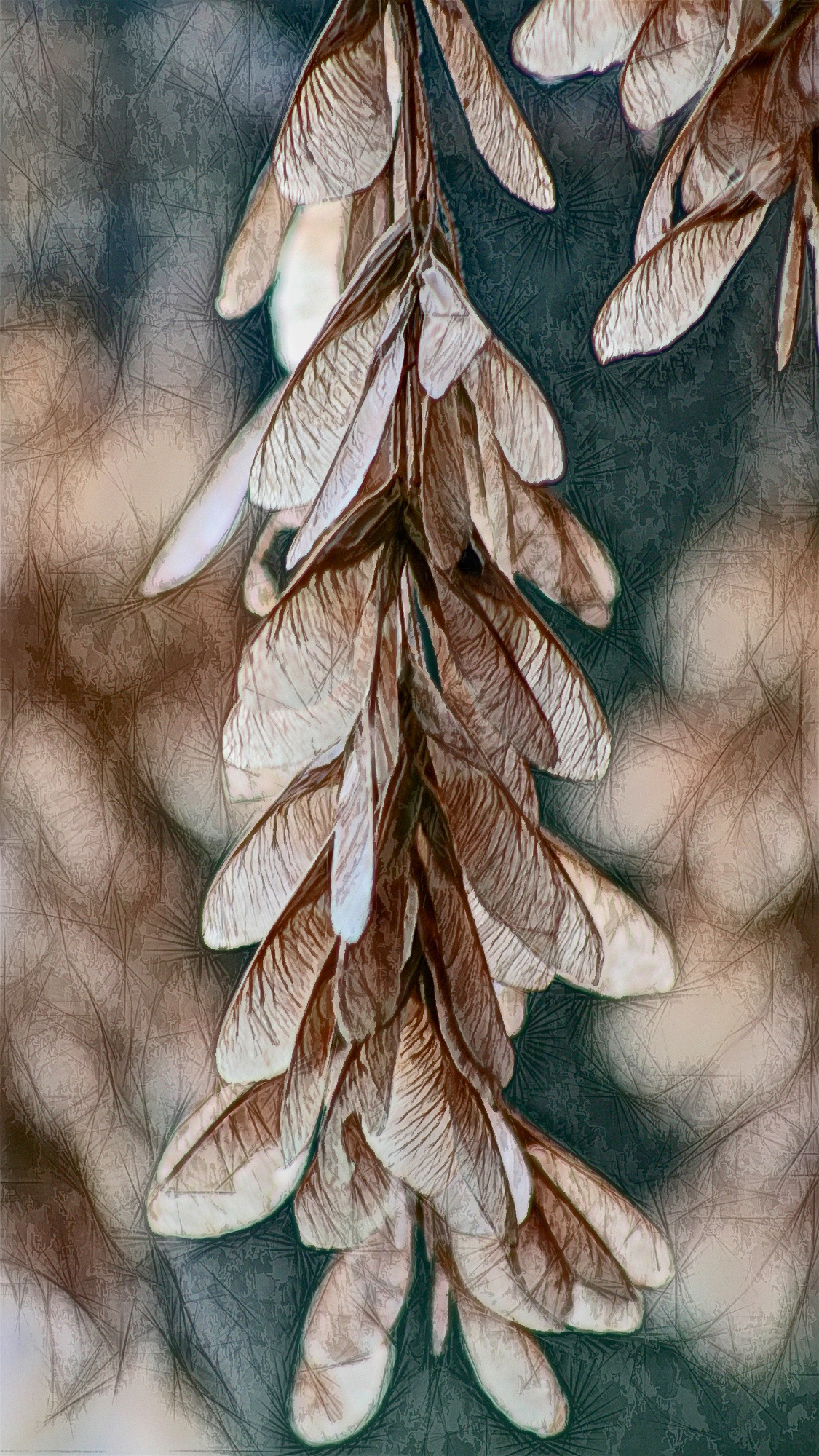 PL0909_3351XA  ~  Whirlygigs