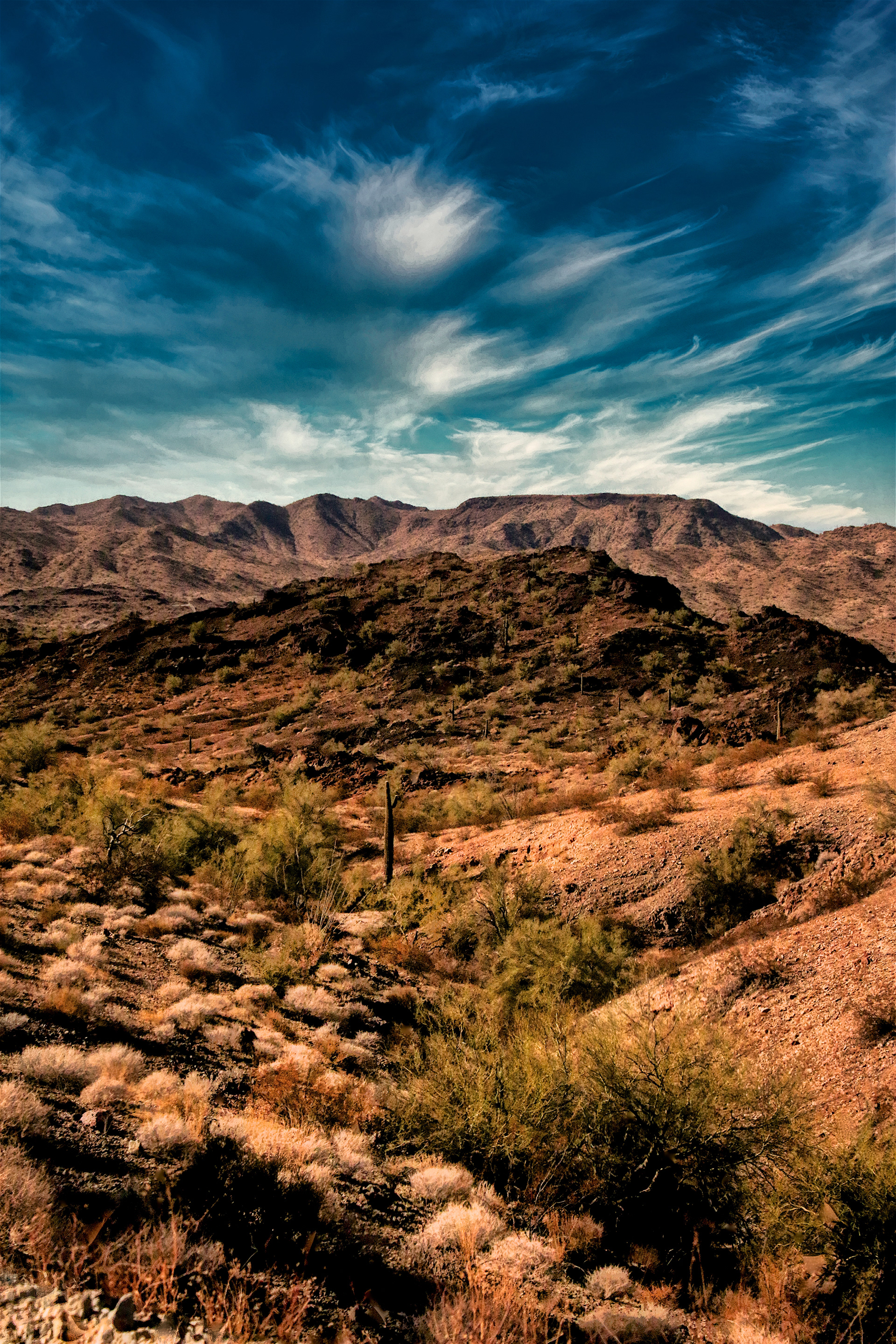 LS2010_3161AE  ~  Rough Terrain