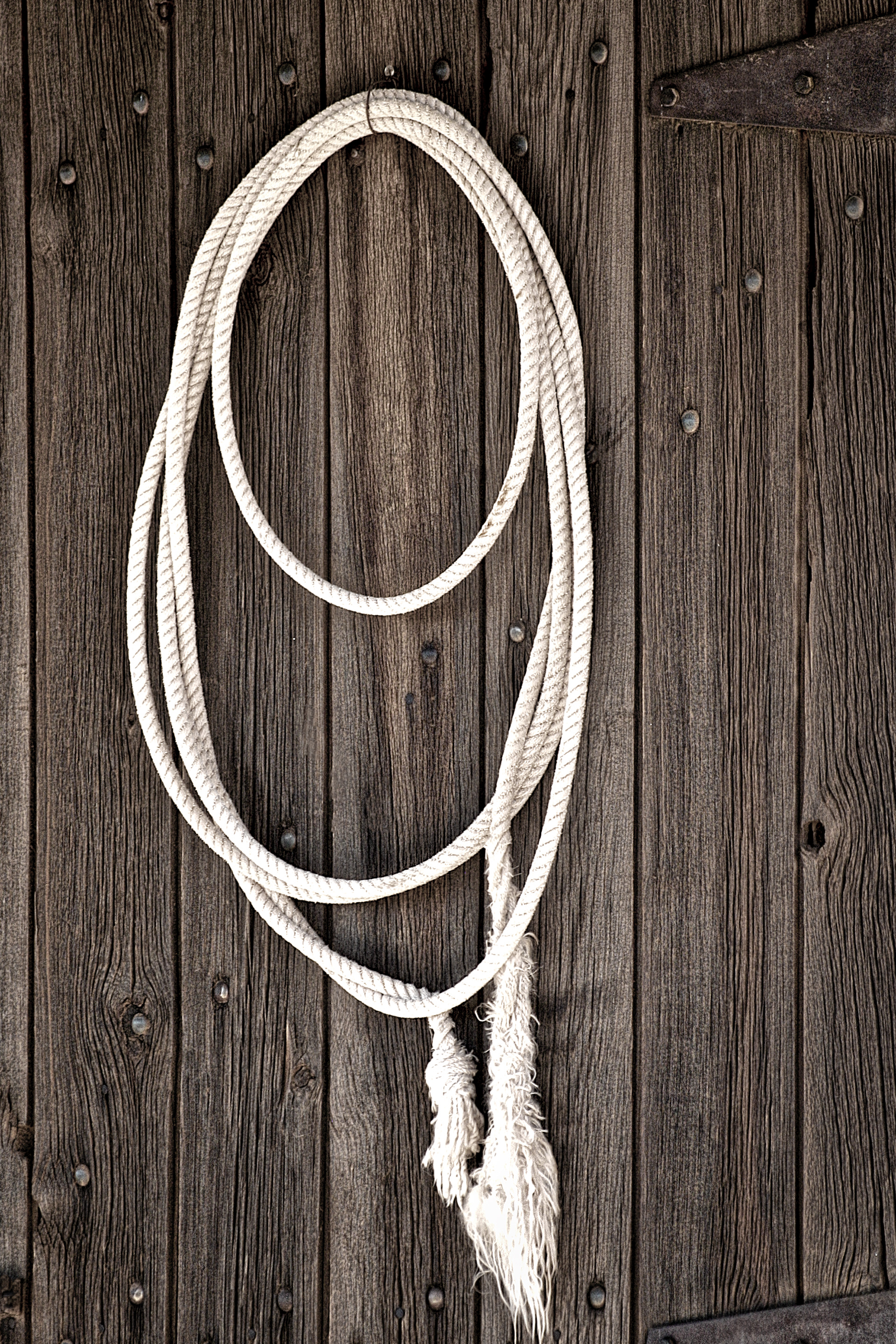 EQ1310_3605AC  ~  Rope