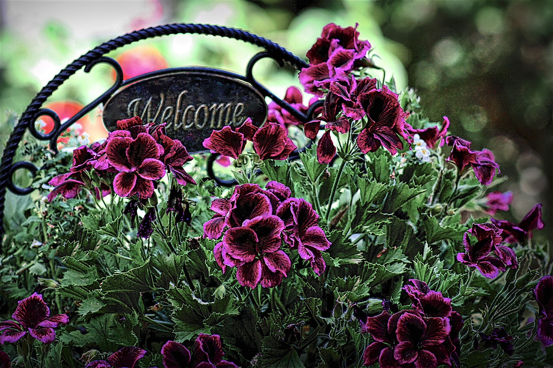 PL1205_8779AD  ~  Welcome