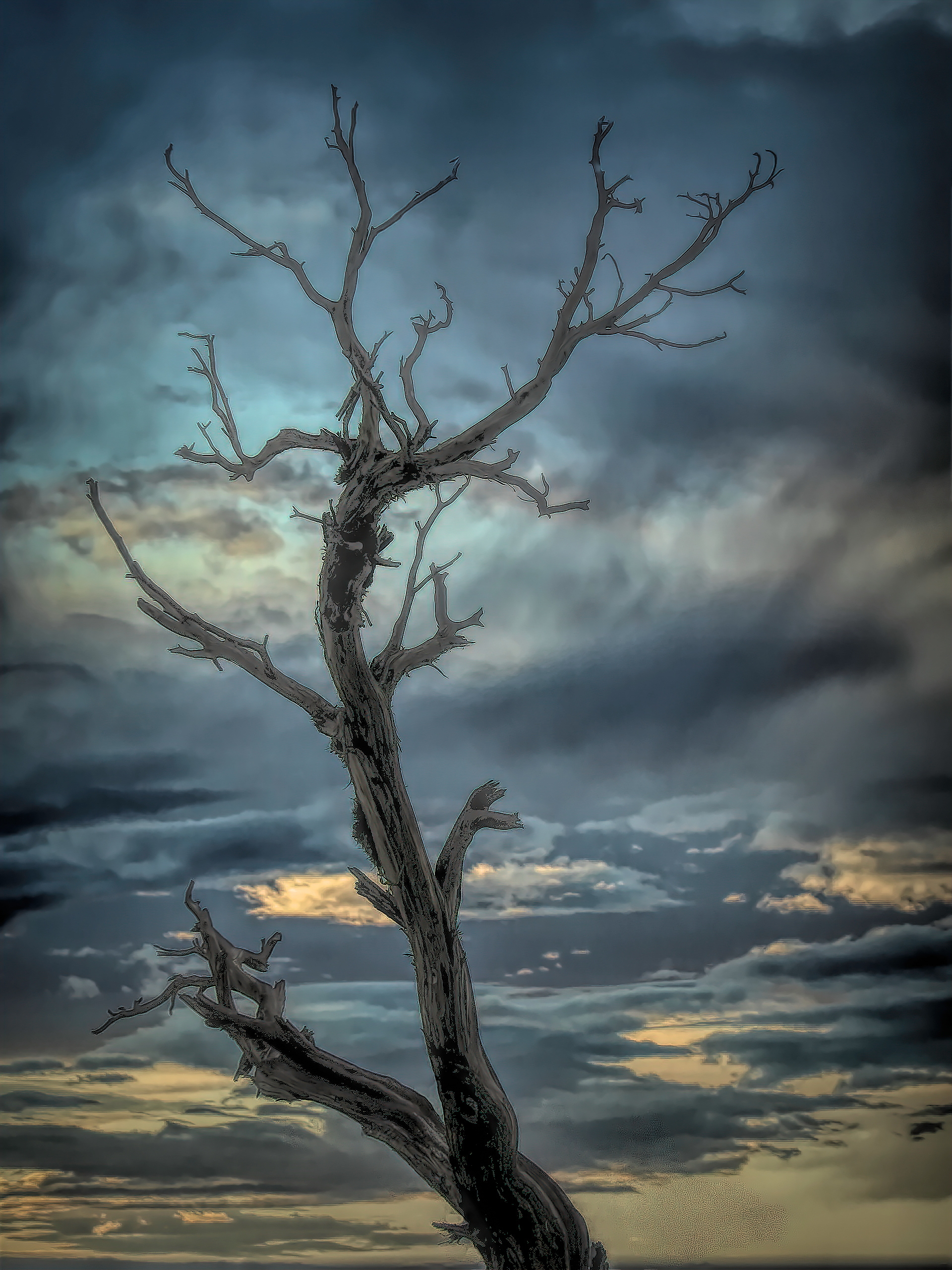 PL0909_1280AK  ~  Skeletal Remains