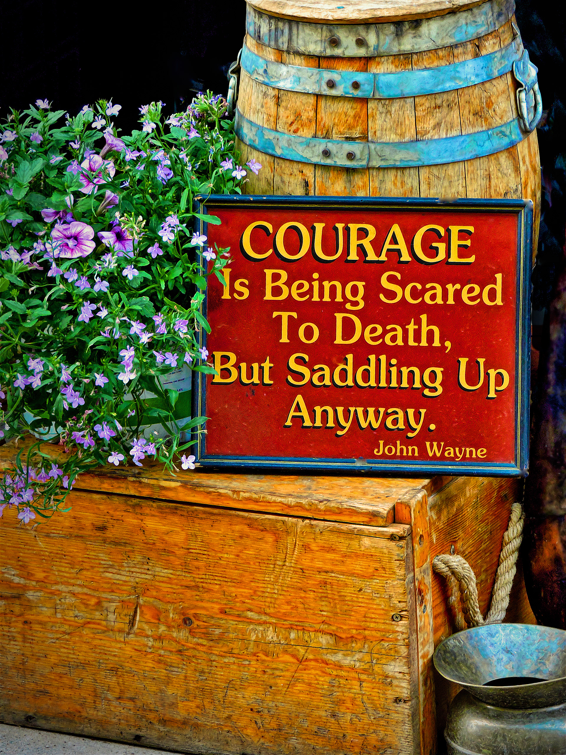 SG1507_1002AF  ~  Courage