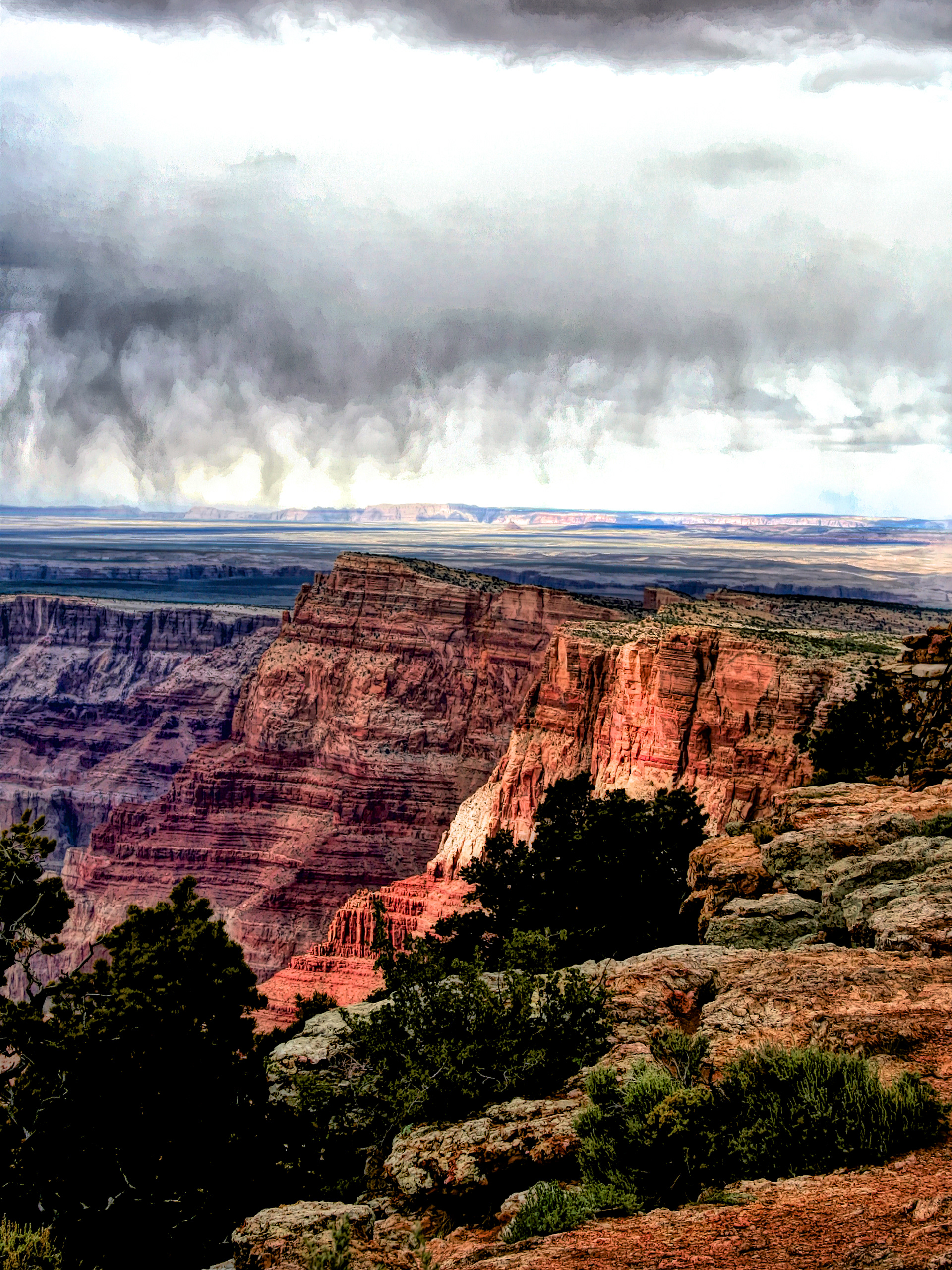LS1405_7255AL  ~  Storm Watch