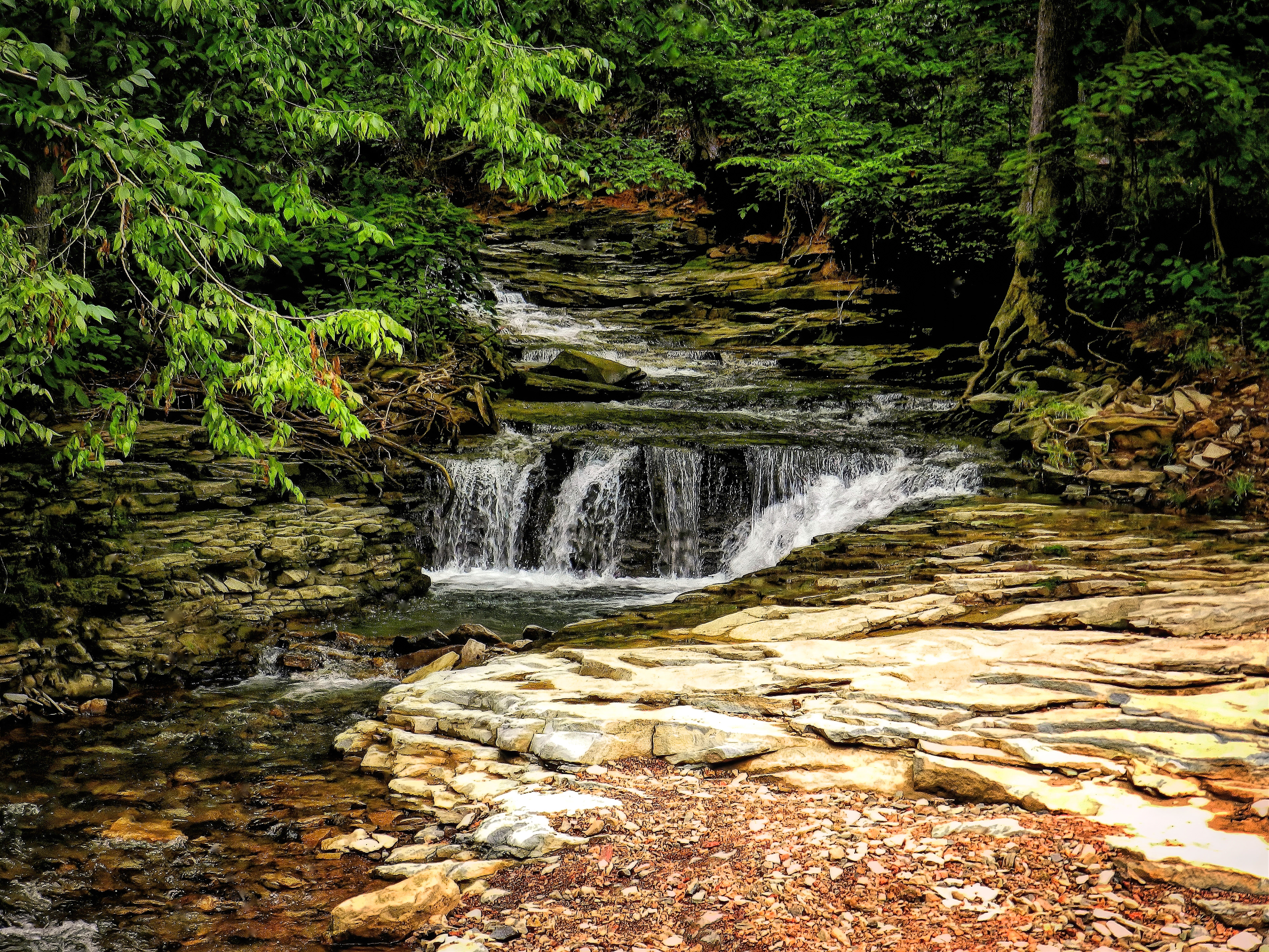 WS1105_0044AD  ~  Woodland Waterfall