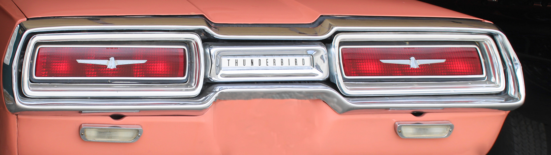 VS2204_0250AD  ~  T-Bird