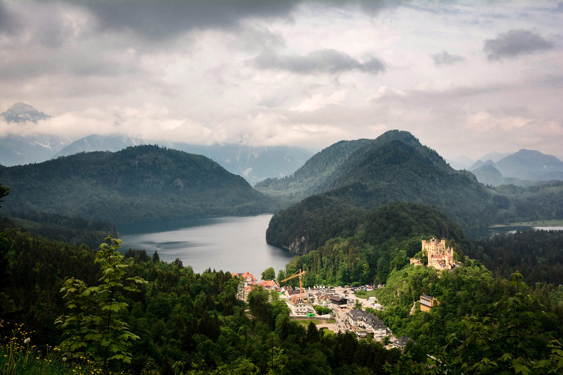 The black forest in the German mountains