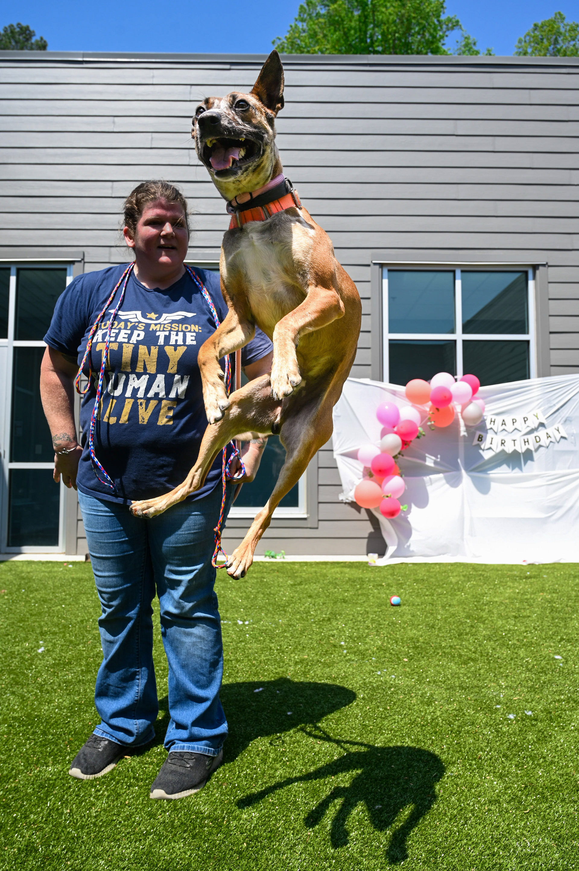A shelter dog jumping for joy