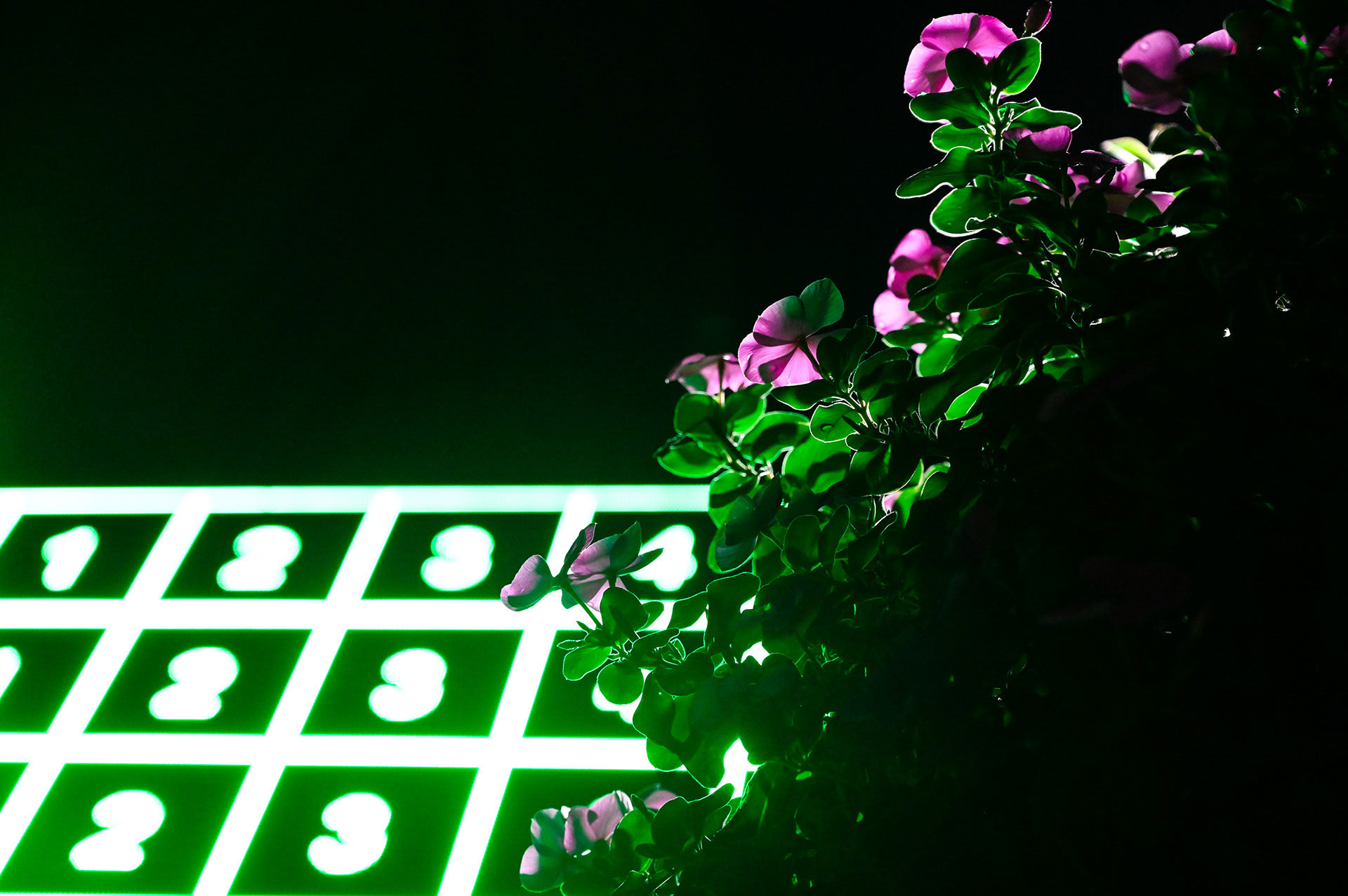 Flowers in front of an LED sign in Winston-Salem