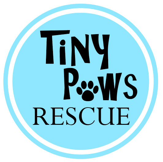 Tiuny Paws Rescue