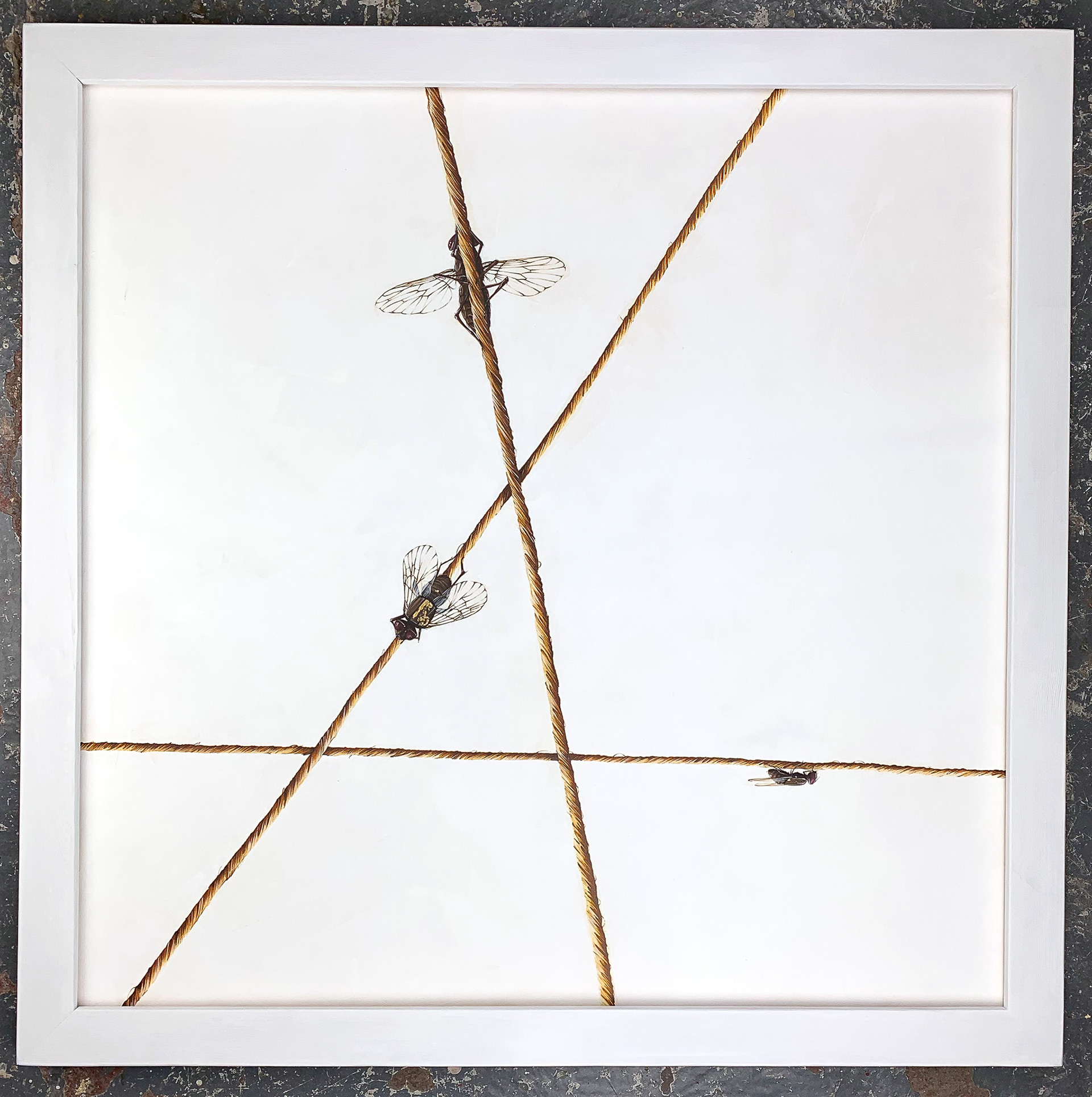 UNRAVEL Liquid acrylic, exterior wall paint on linen canvas  80cm x 80cm, Unique, 2019 SOLD