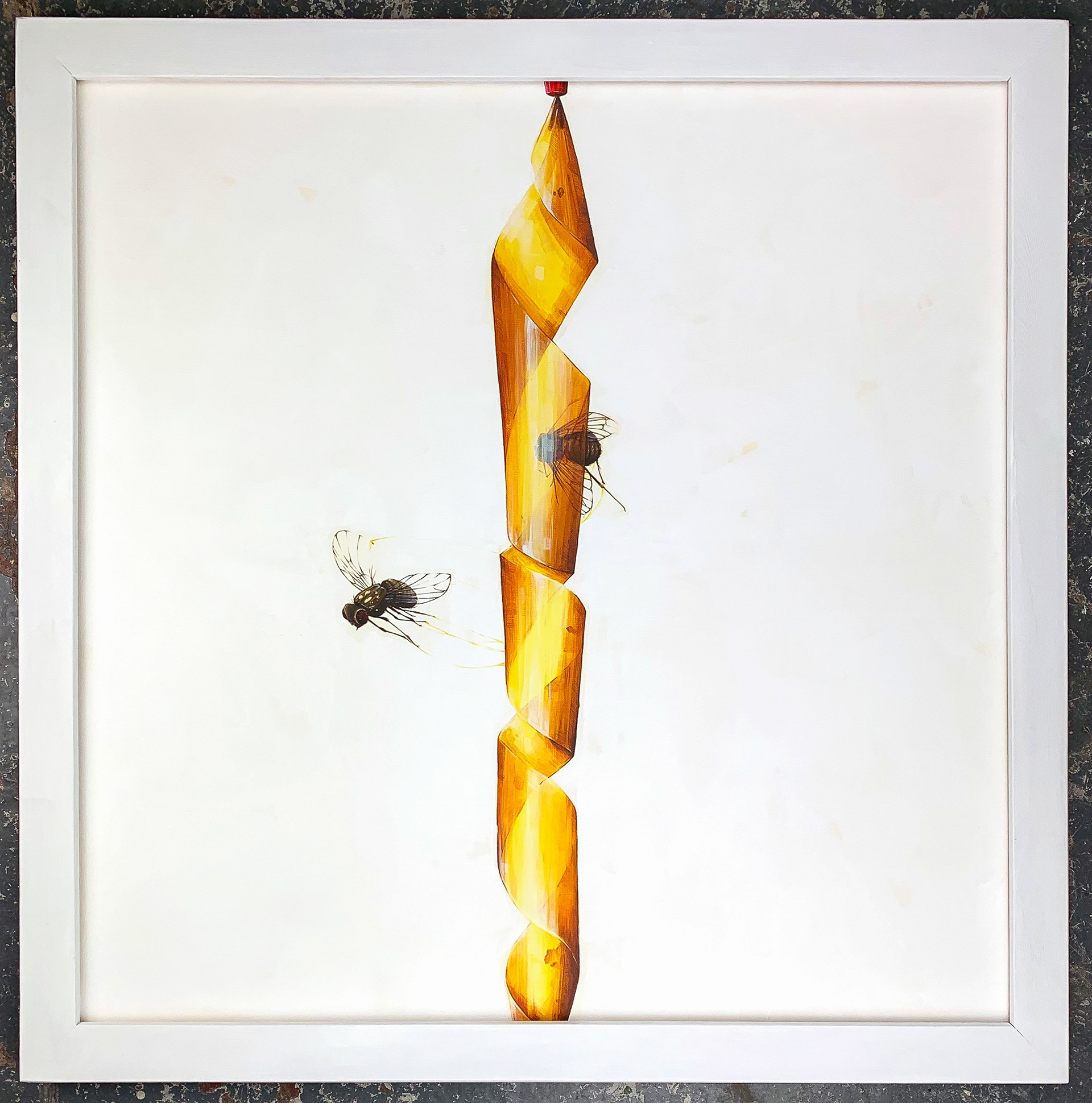 FIGHT OR FLIGHT Liquid acrylic, exterior wall paint on linen canvas  80cm x 80cm, Unique, 2019