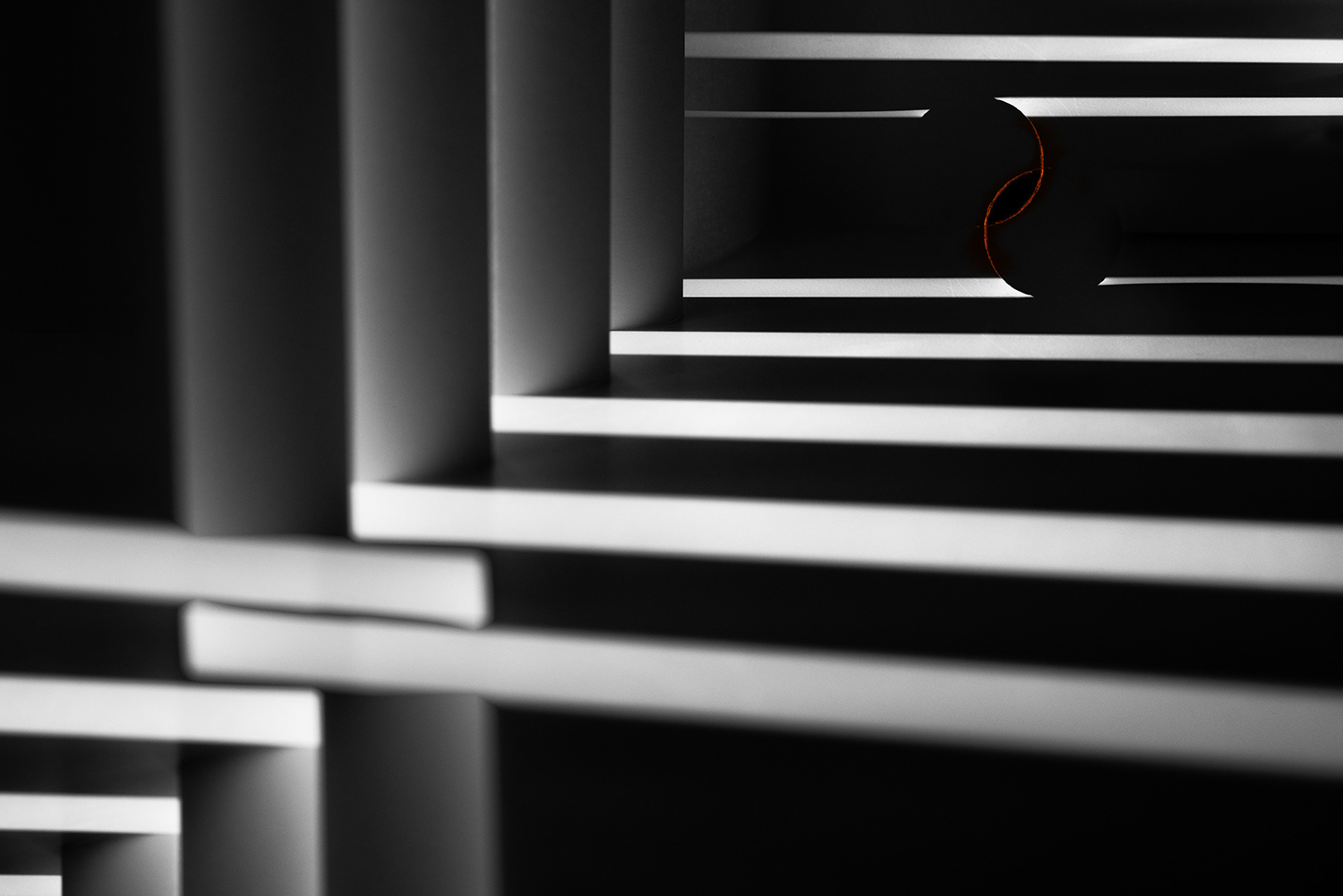 Nerpel Nikoletta: Metszetek a végtelenből