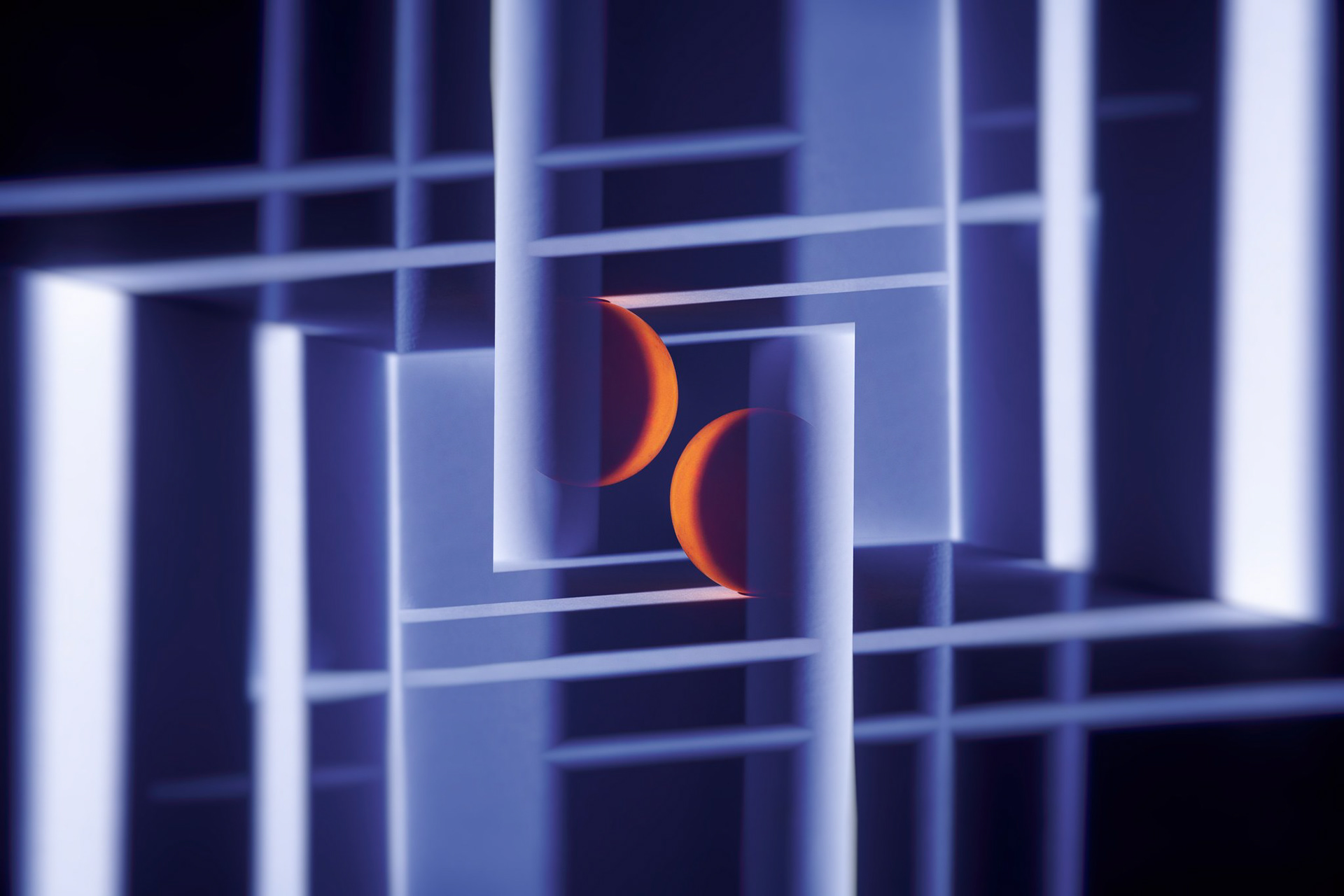 Nerpel Nikoletta: Időhurok