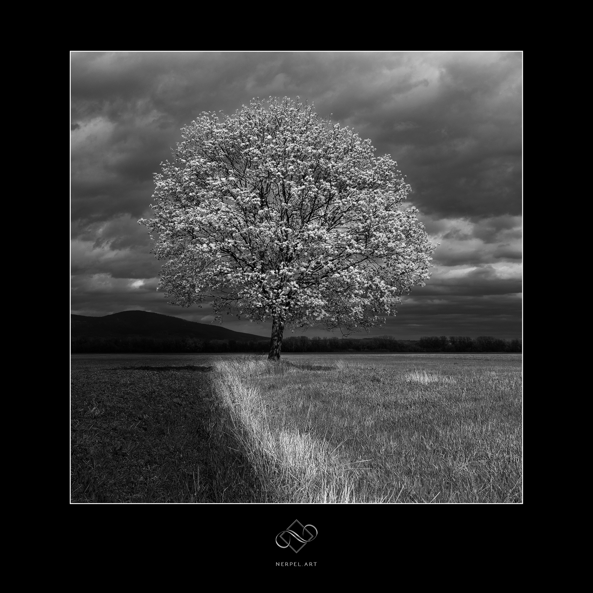 Nerpel Art - Bright side of life
