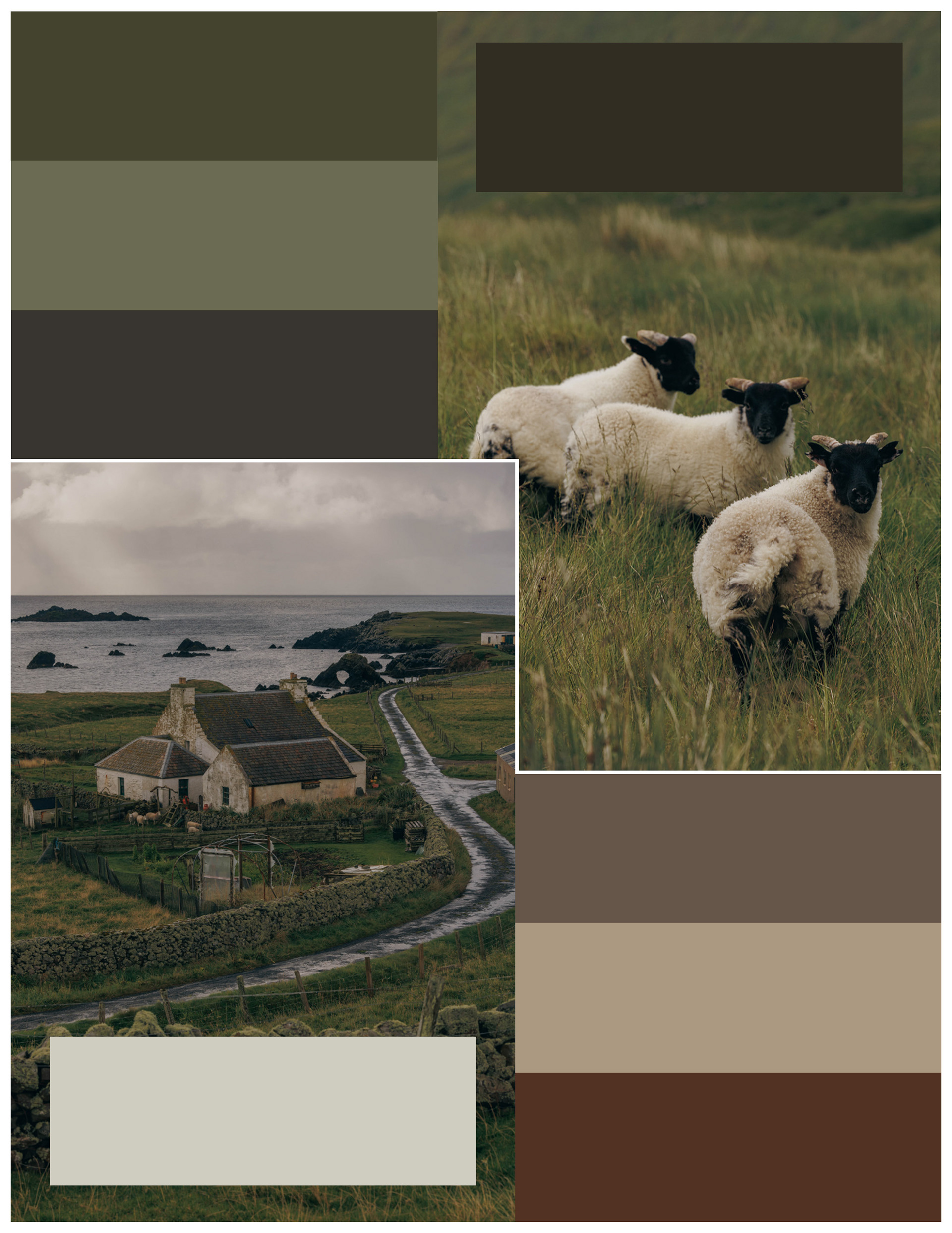 Color Story