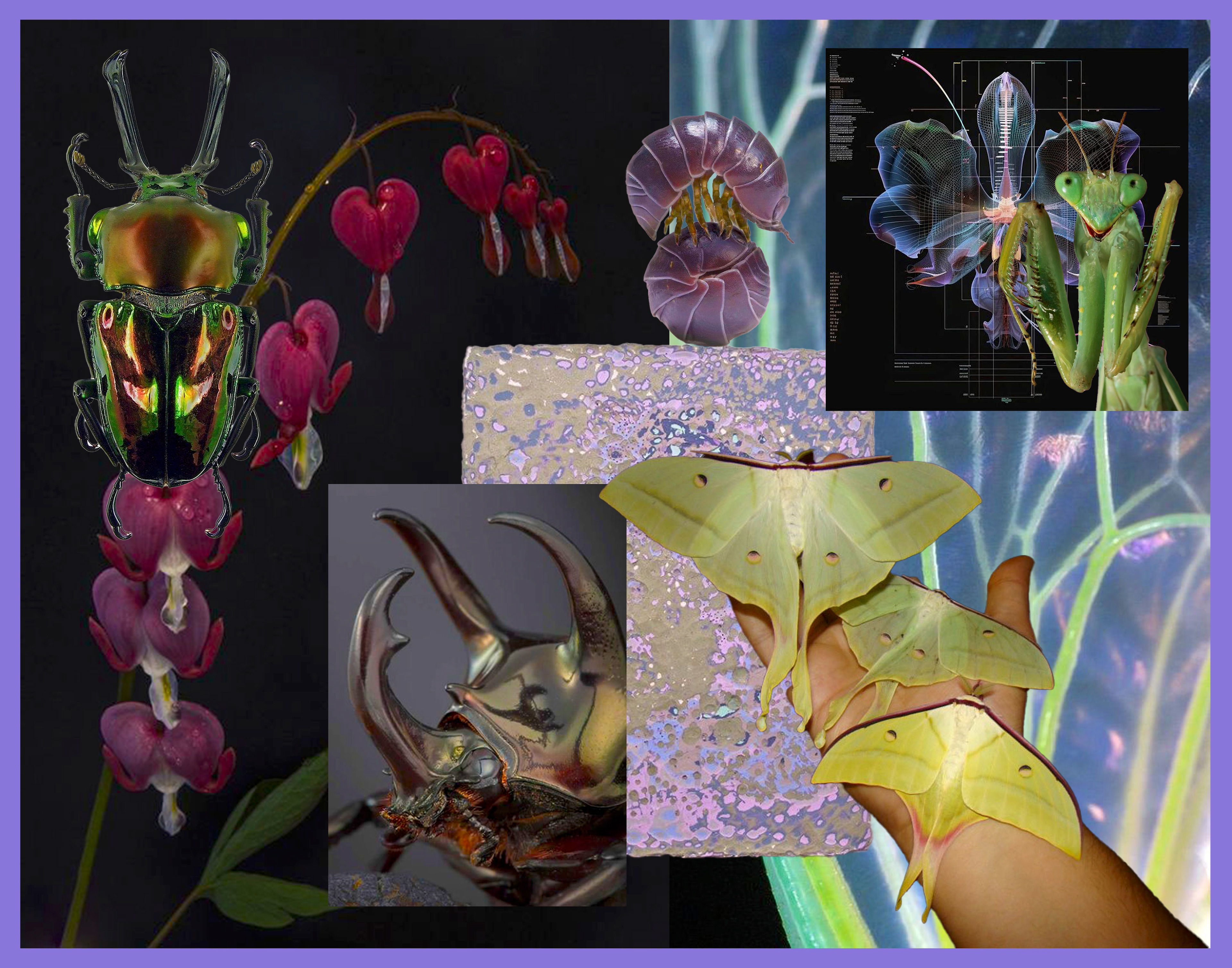 Mood Board