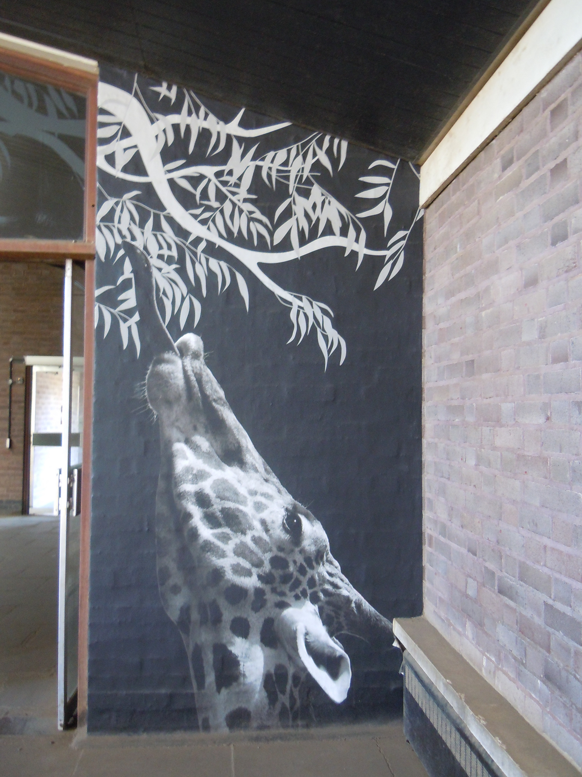 My mural design in the Giraffe House at London Zoo