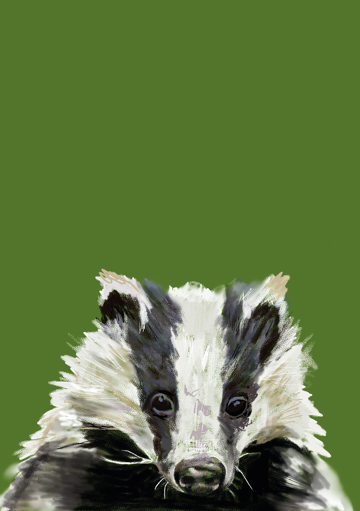 Animals endangered by HS2 - Badger