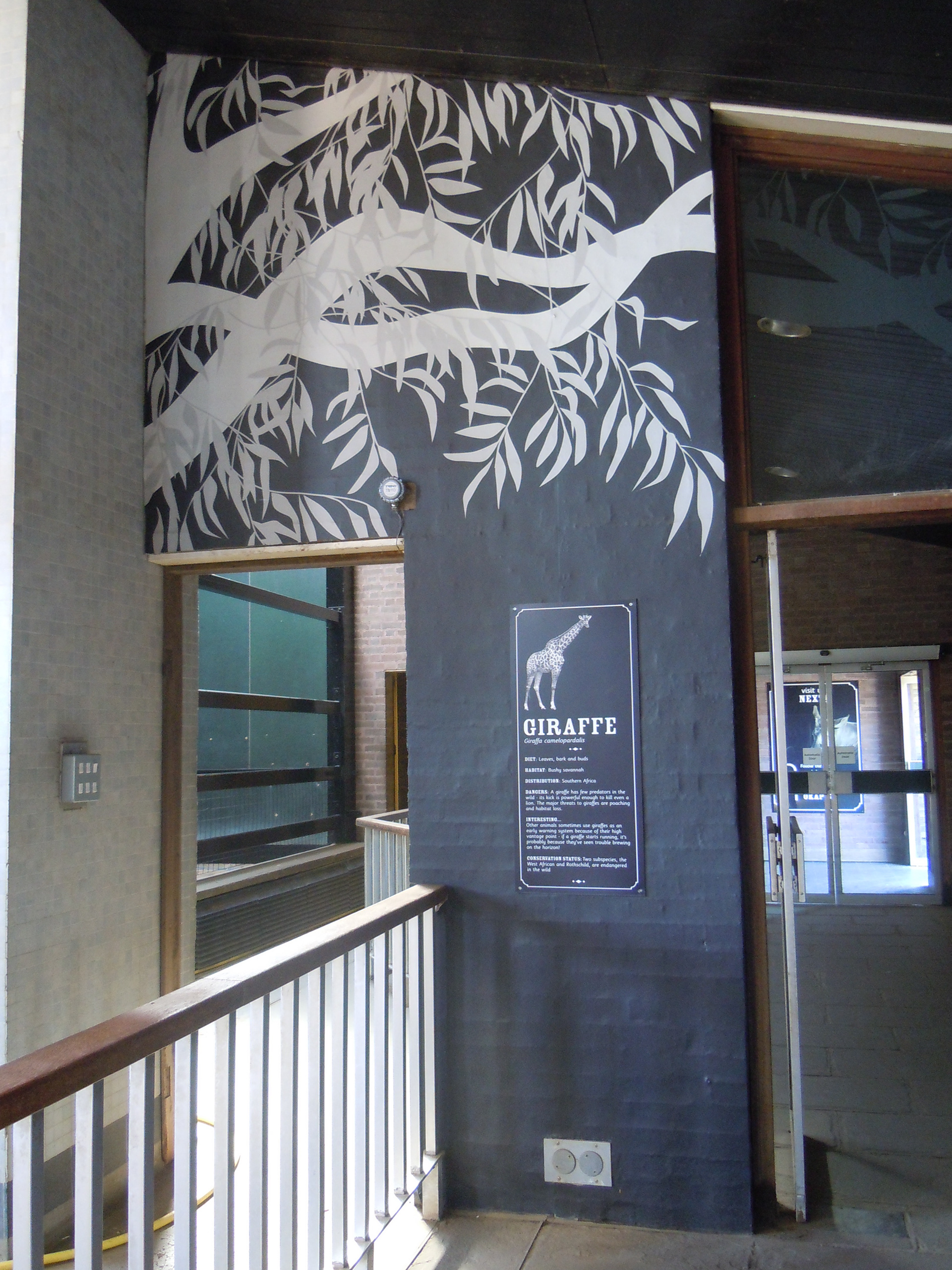 My mural in the Giraffe House at London Zoo