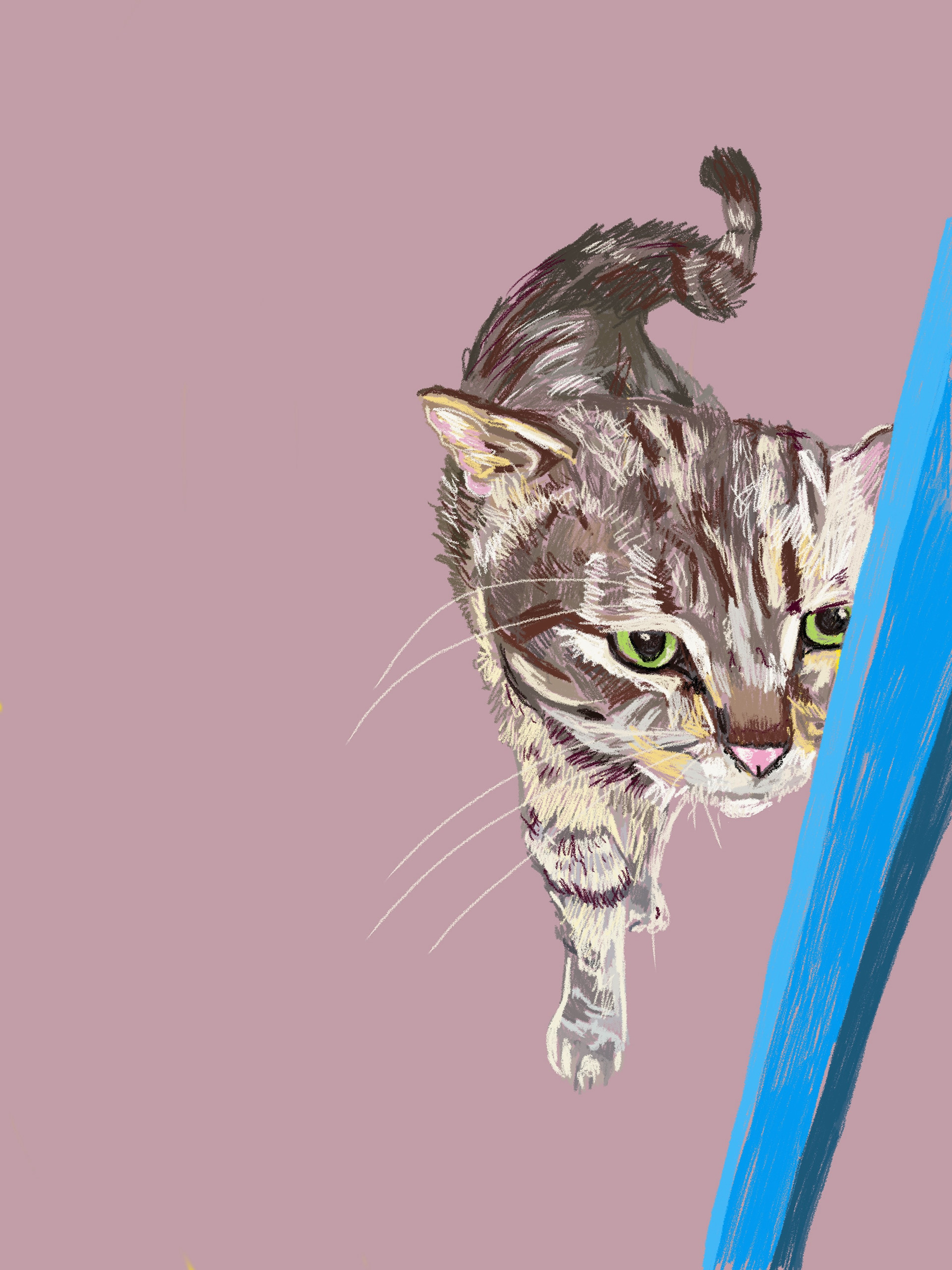 Whiskers