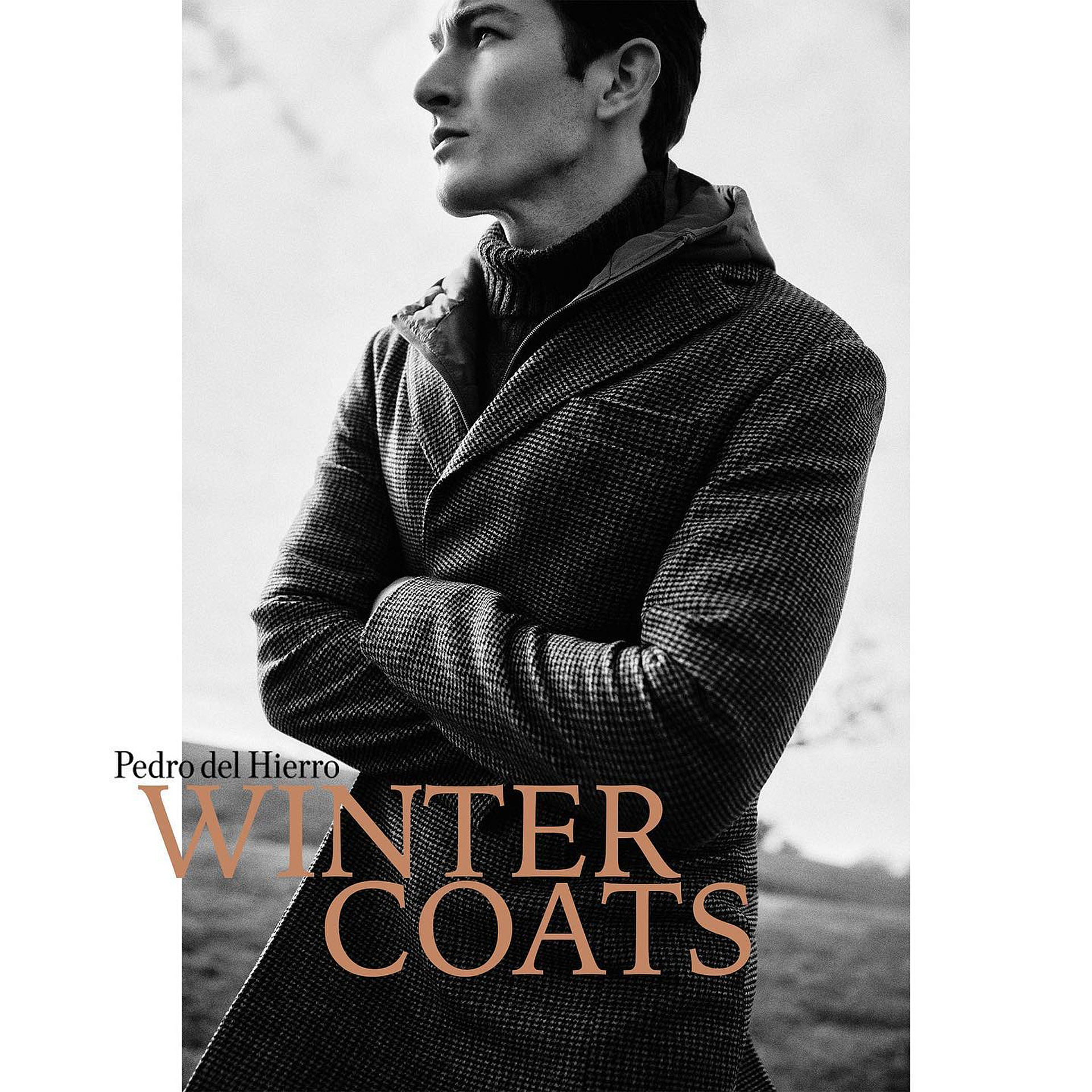Pedro del Hierro Campaña