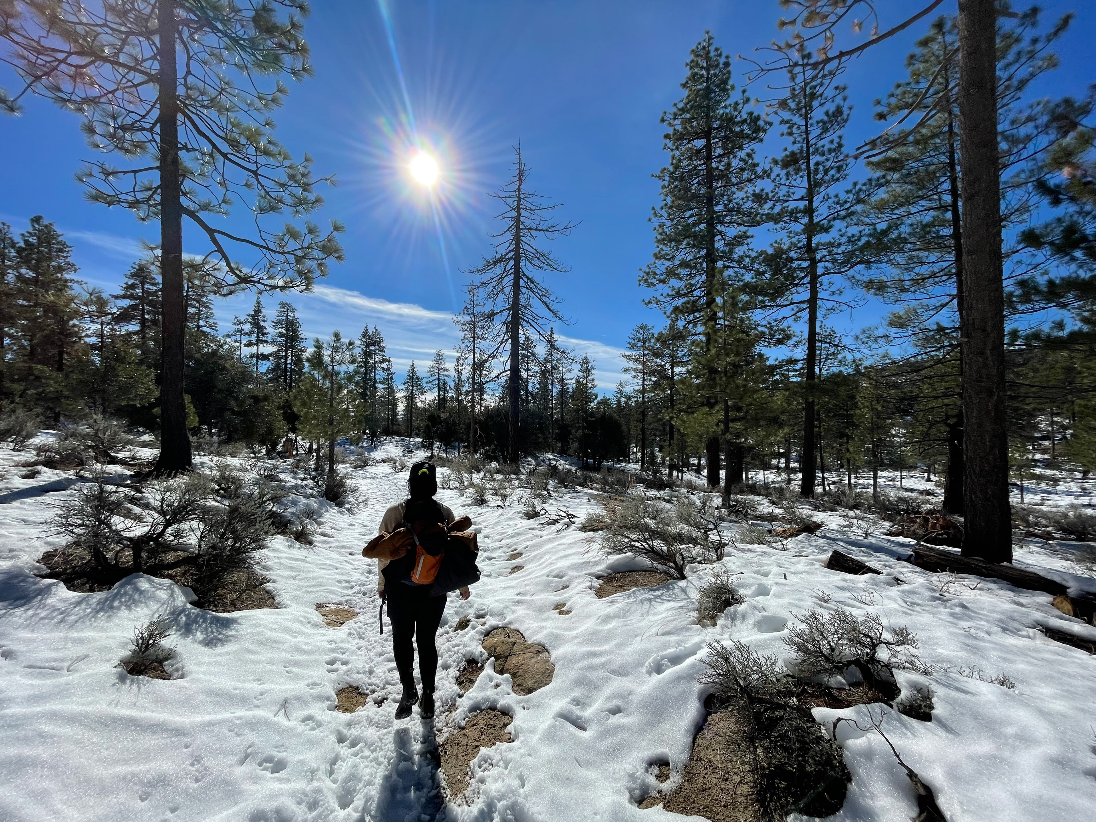1.8.22 - Christi and I - Snowy, solo hike up on Mt Hilyer. We were surprised by the amount of snow. it certainly made hiking a little slower.