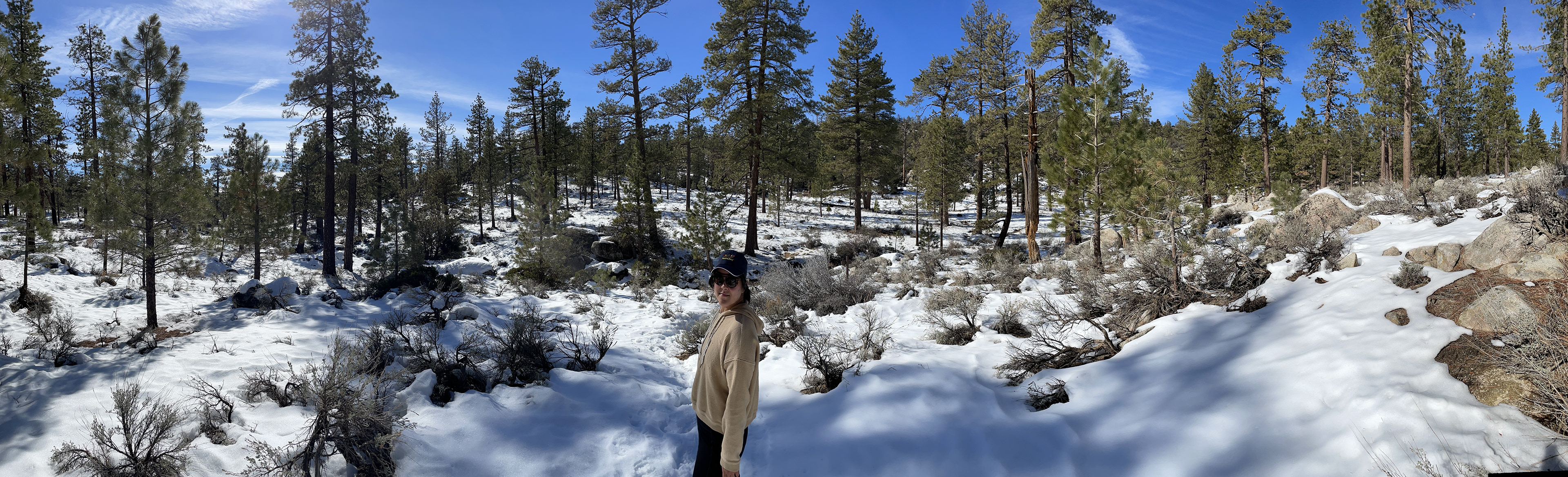 1.8.22 - Snowy Panoramarama