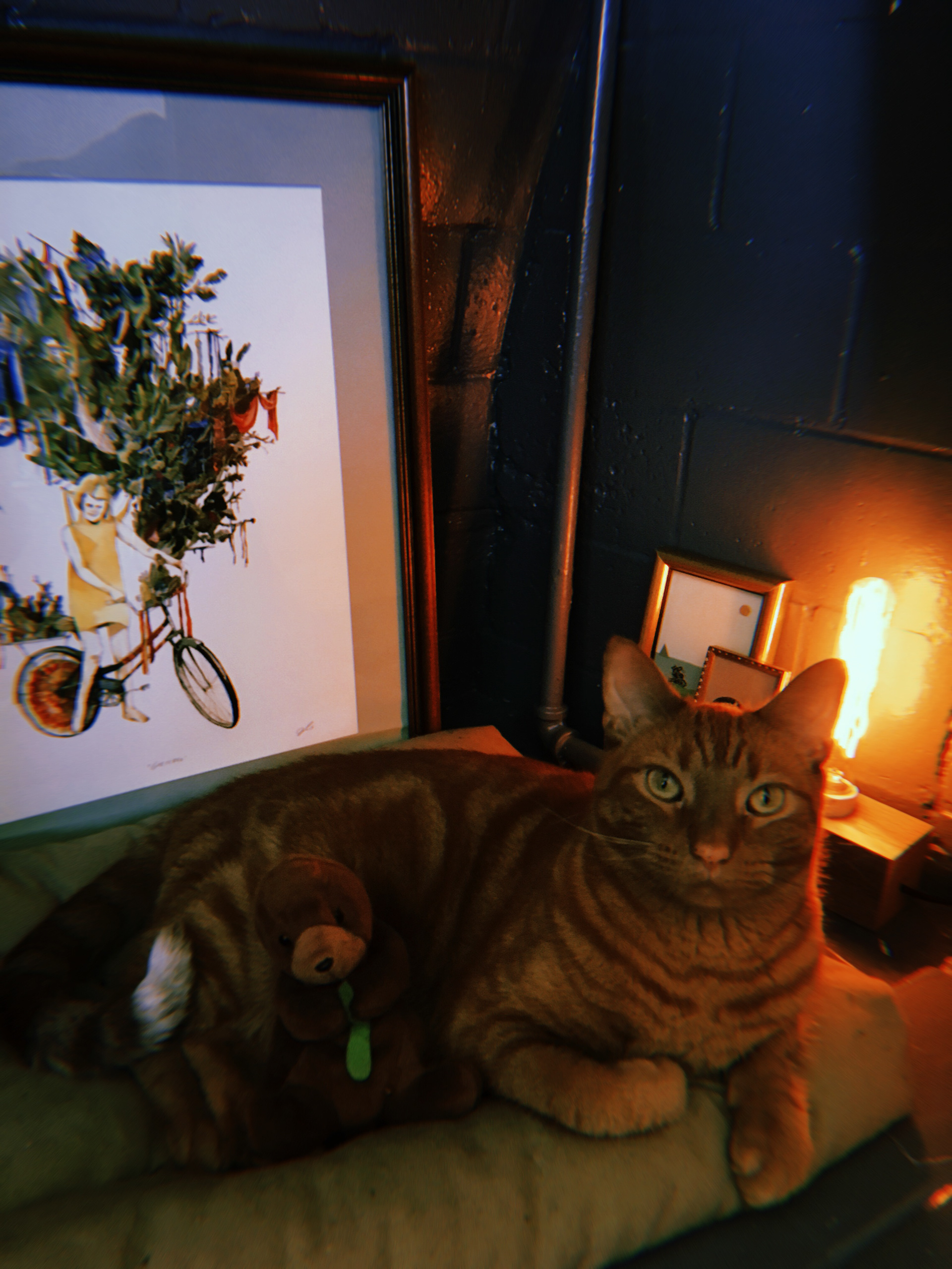 We tried to figurred out what to do with the fireplace since it's painted over, and thought we could make some extra dough renting out a cat apartment to cooper.