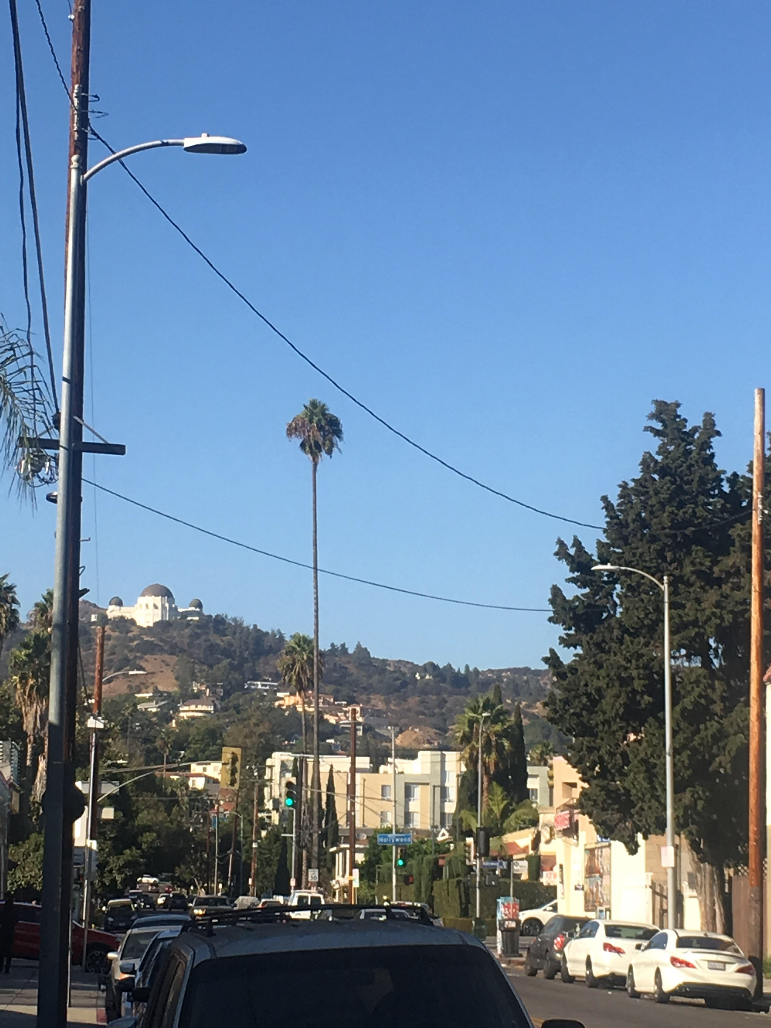 View from our front gate on Normandie facing Hollywood blvd. Griffith Observatory up on the hill.