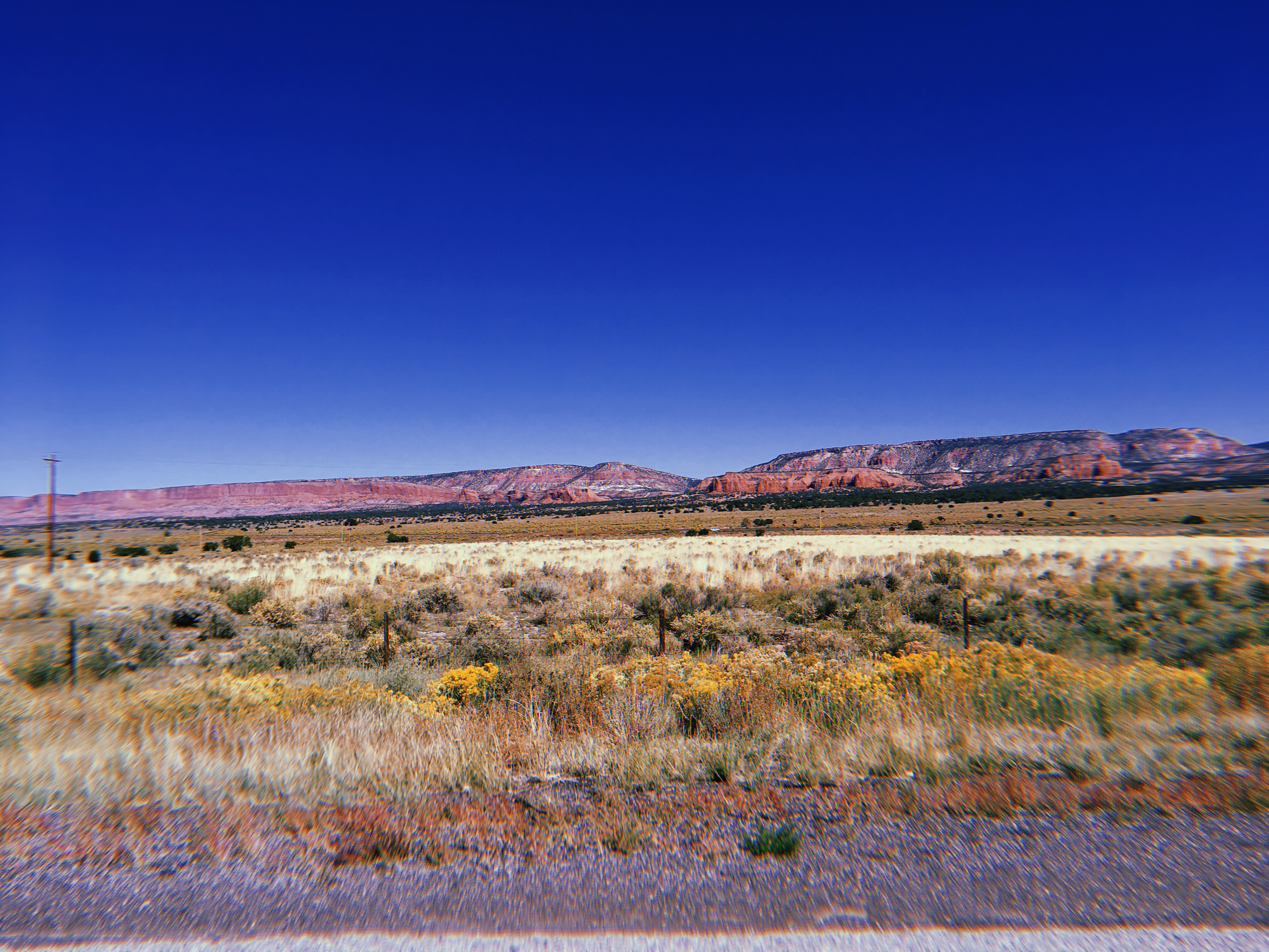 New Mexico
