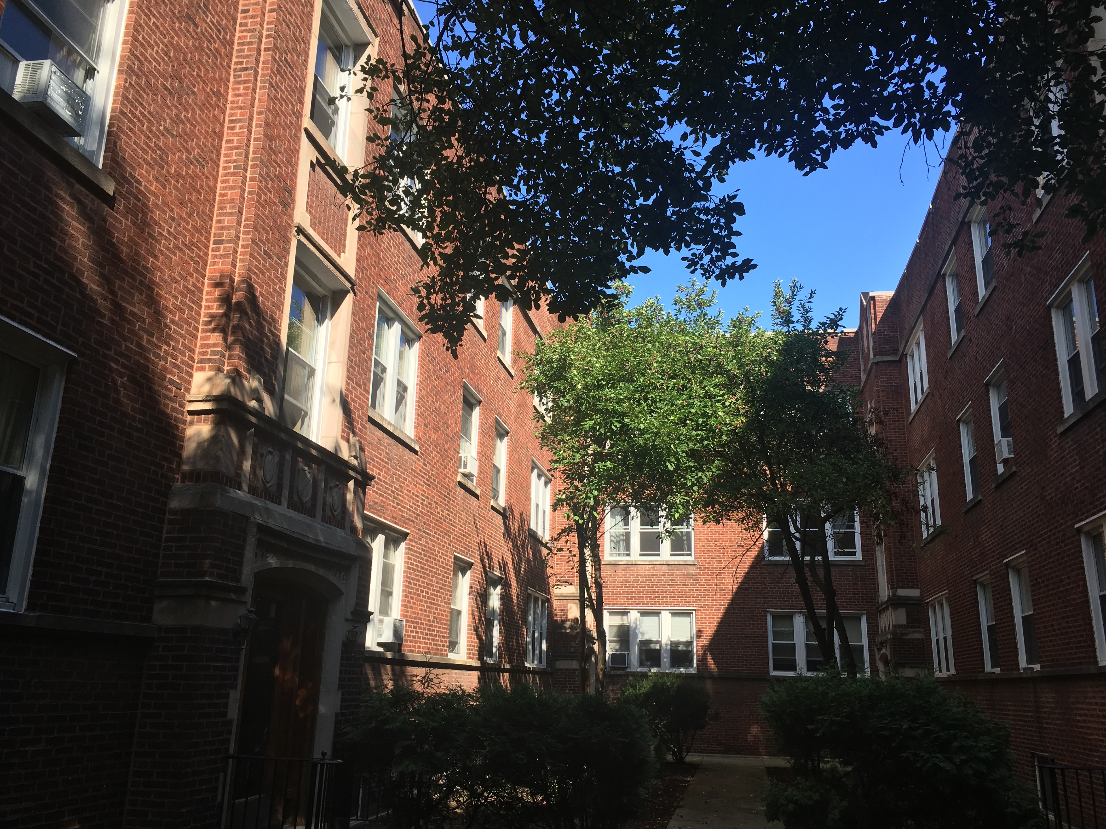 Our courtyard back at 4829 N Wolcott, 2B. They really did a number trimming the trees this summer, which sort of helped with saying goodbye.